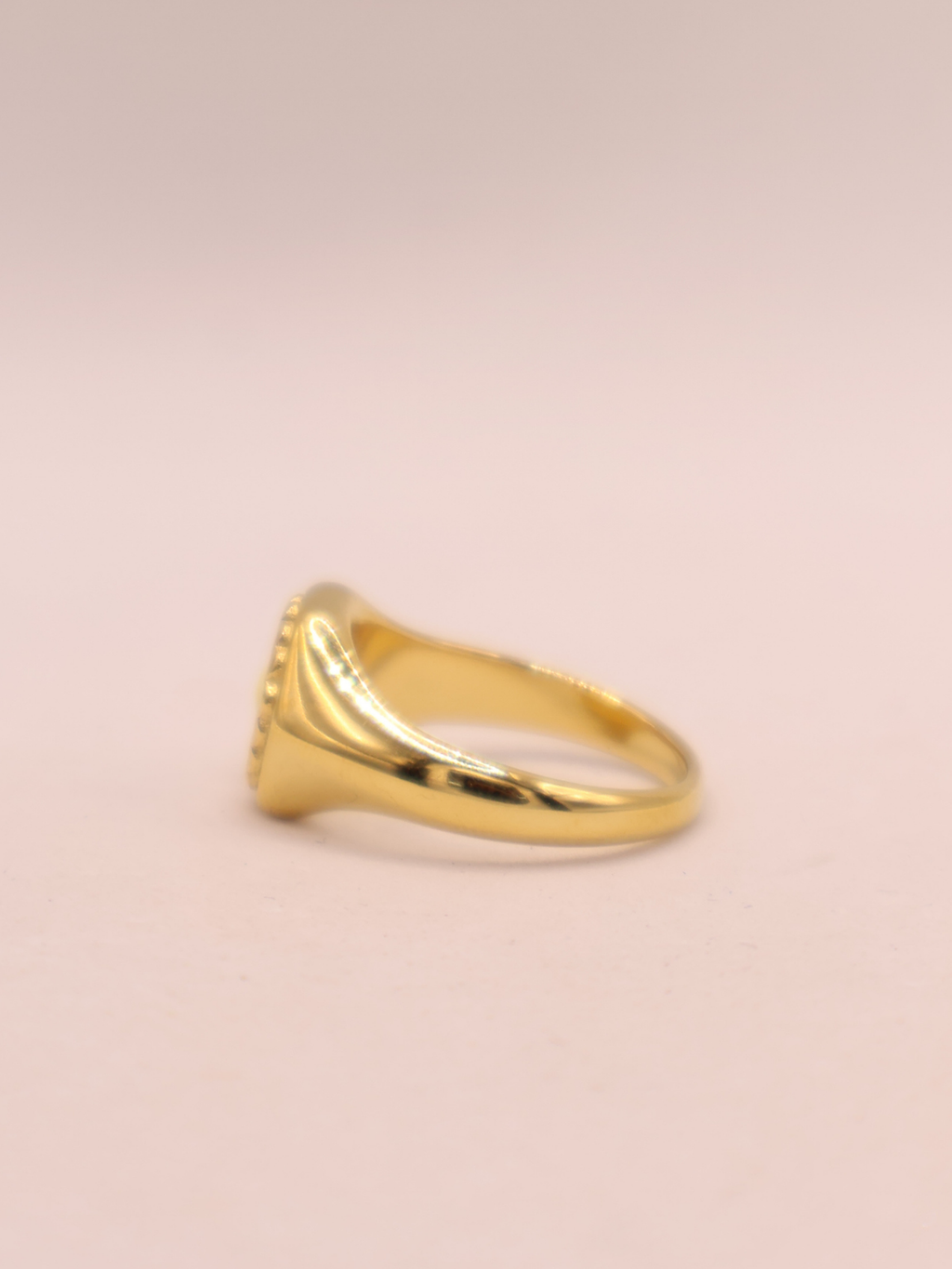 ANILLO 66