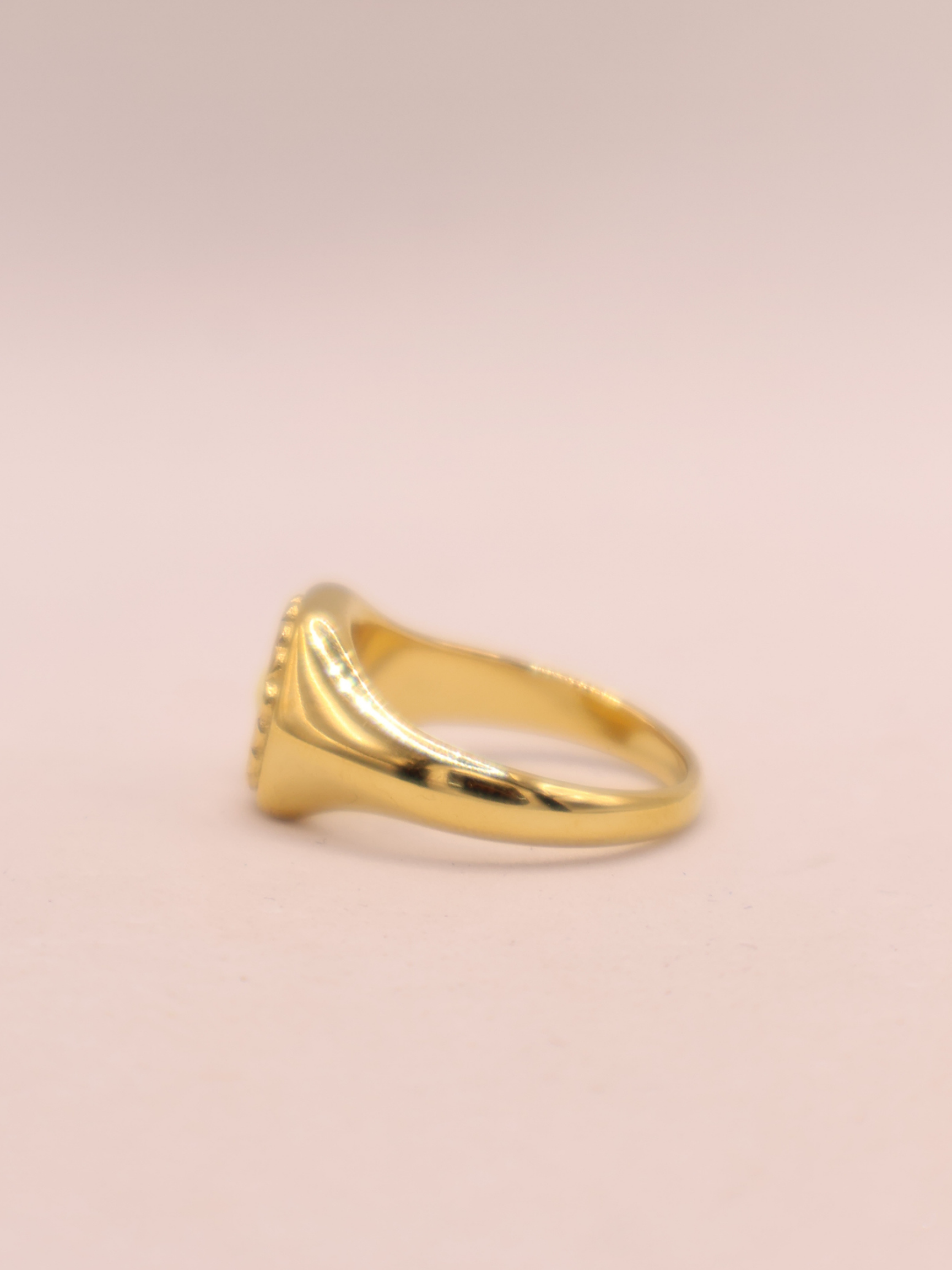 ANILLO 66