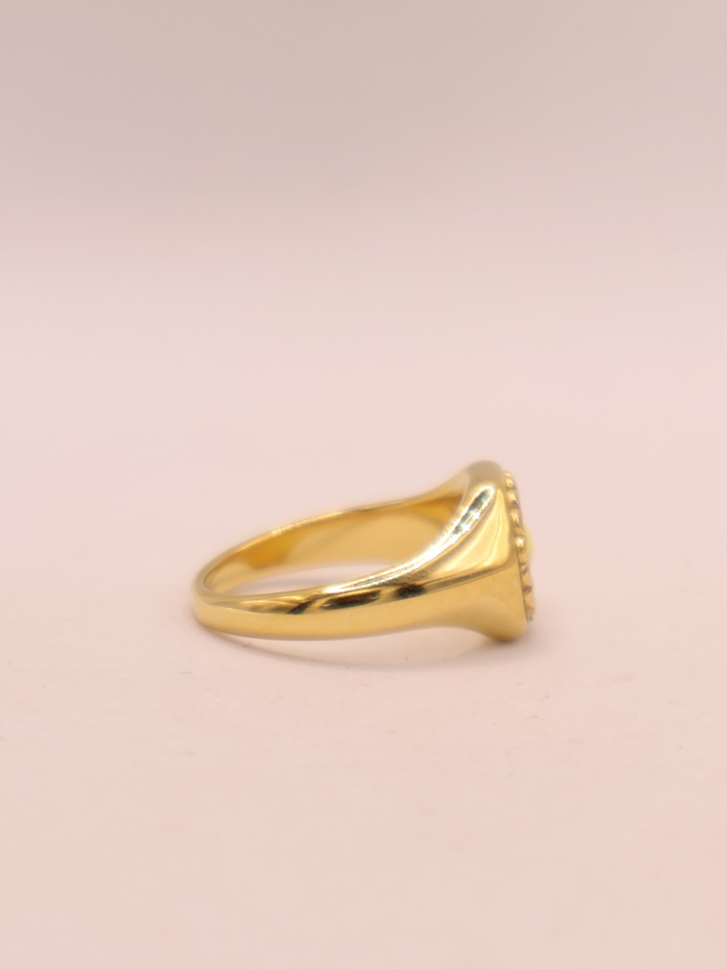 ANILLO 66