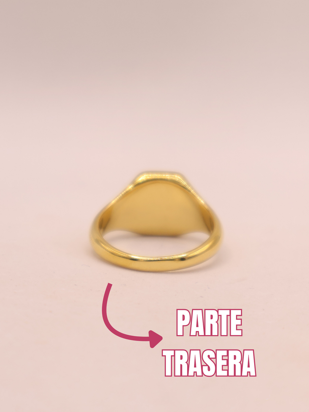 ANILLO 66