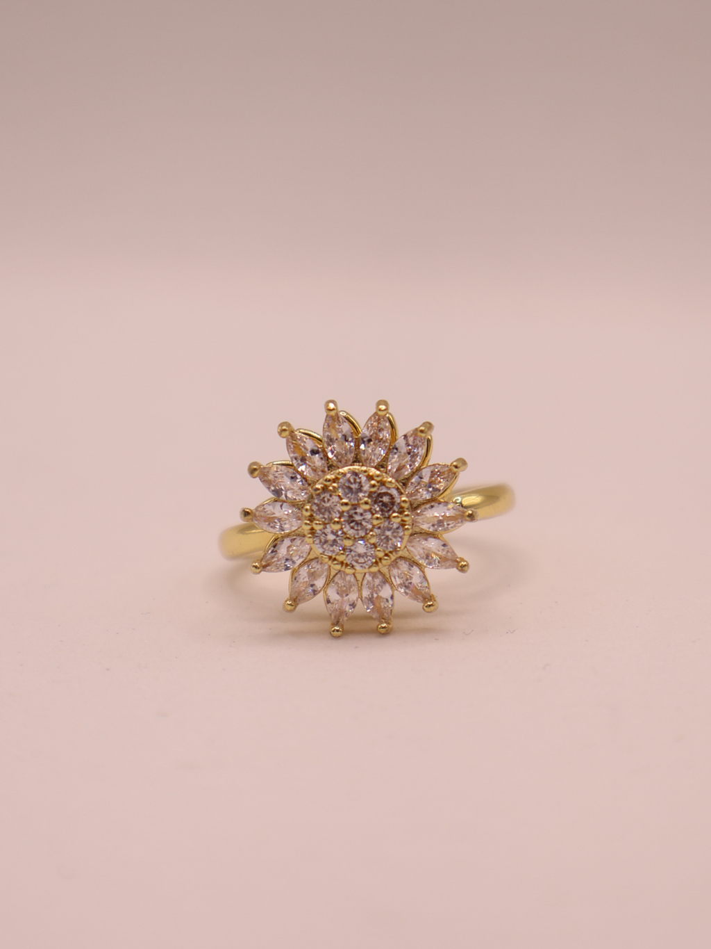 Anillo LAVAL