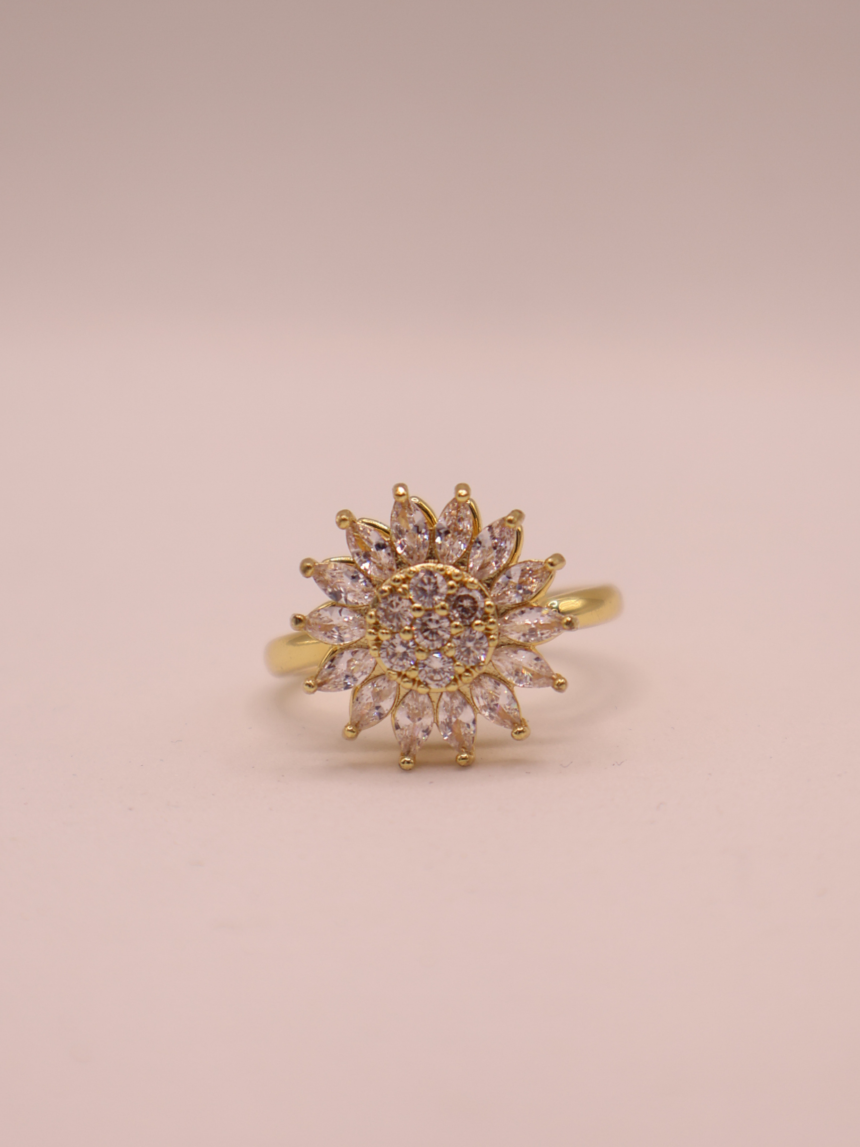 Anillo LAVAL