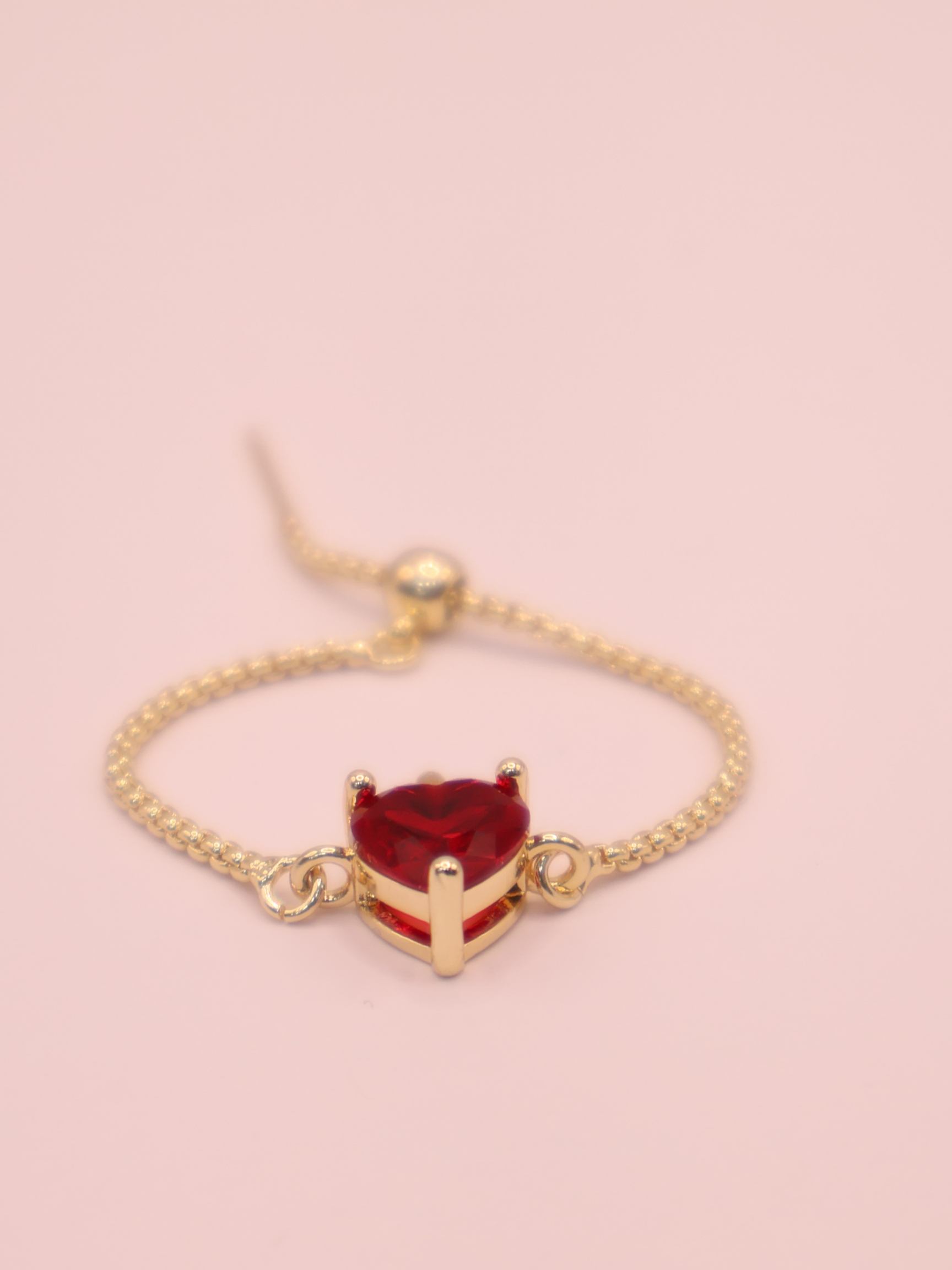 ANILLO GARDA