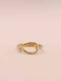 ANILLO 16