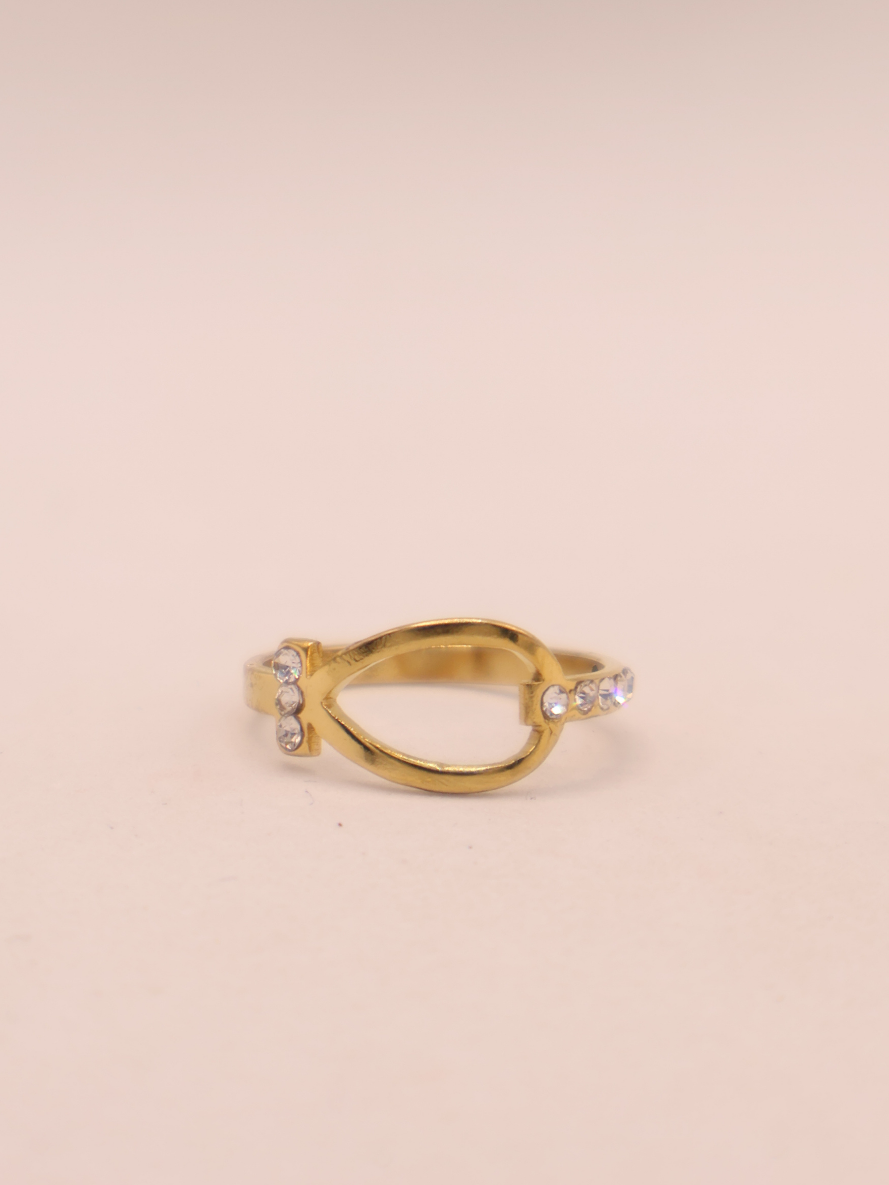 ANILLO 16