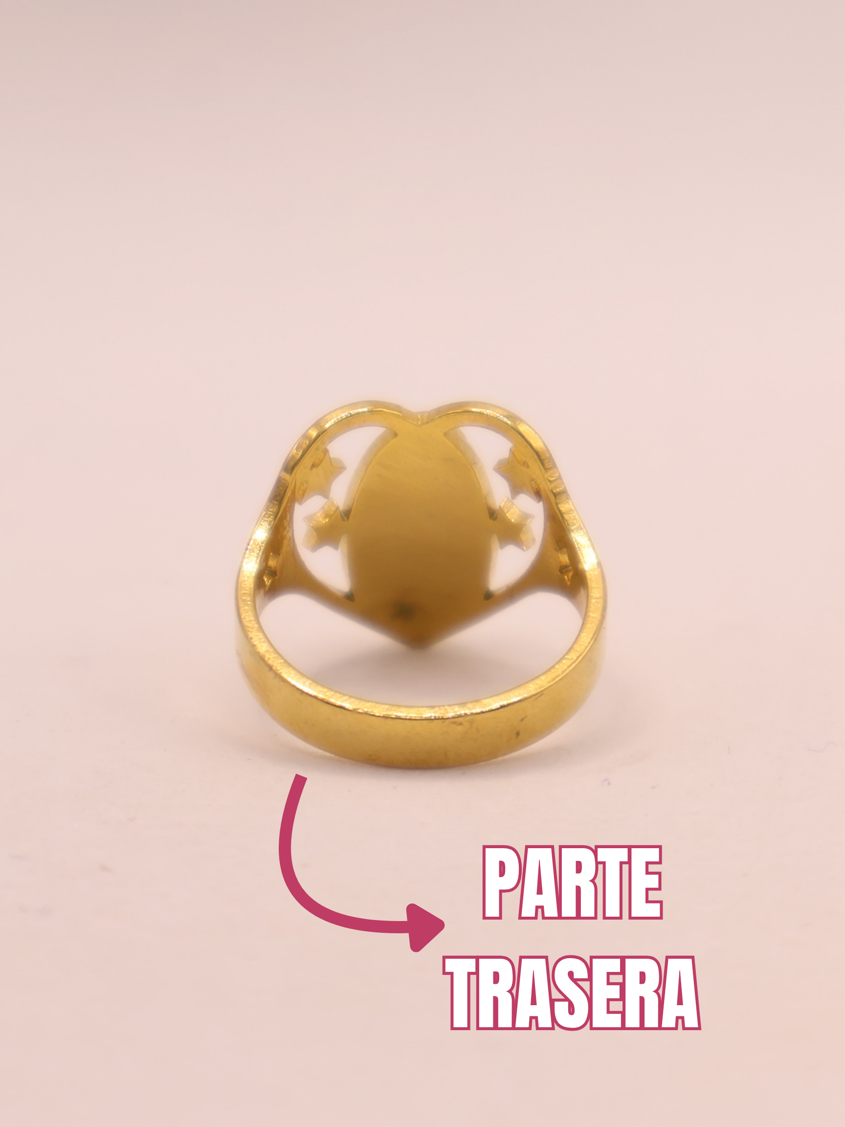 ANILLO 22