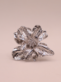 Anillo NANTU