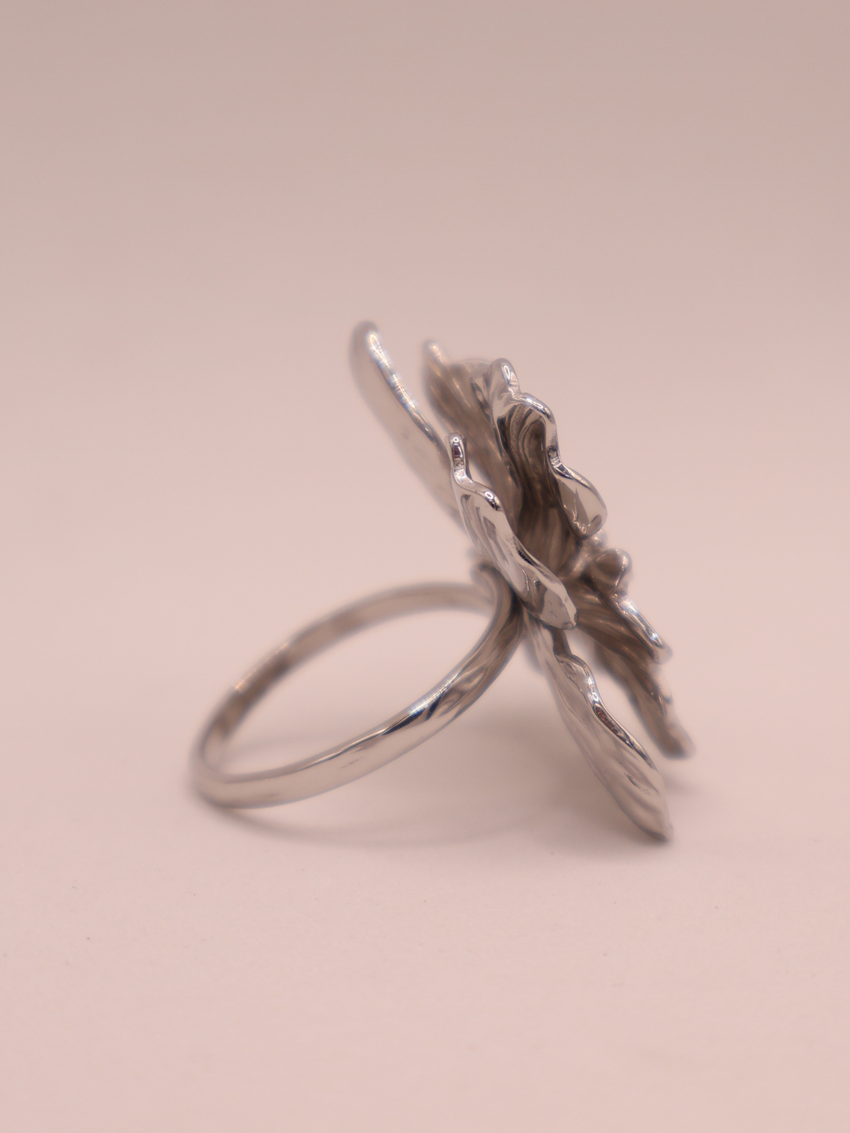 Anillo NANTU