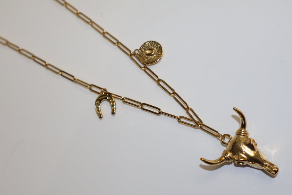 Collar Toro DRD
