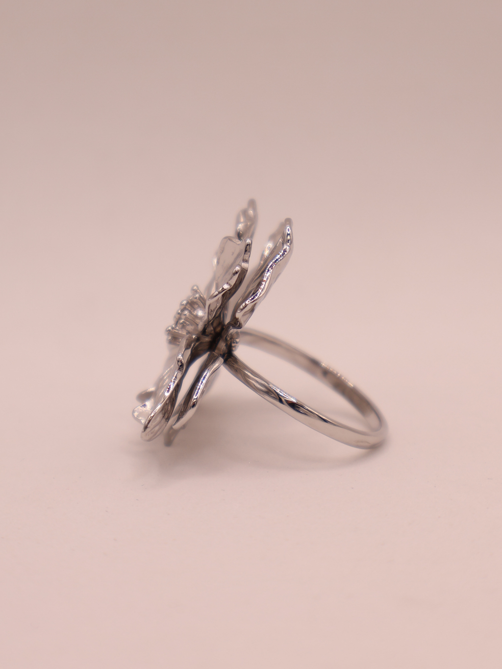 Anillo NANTU