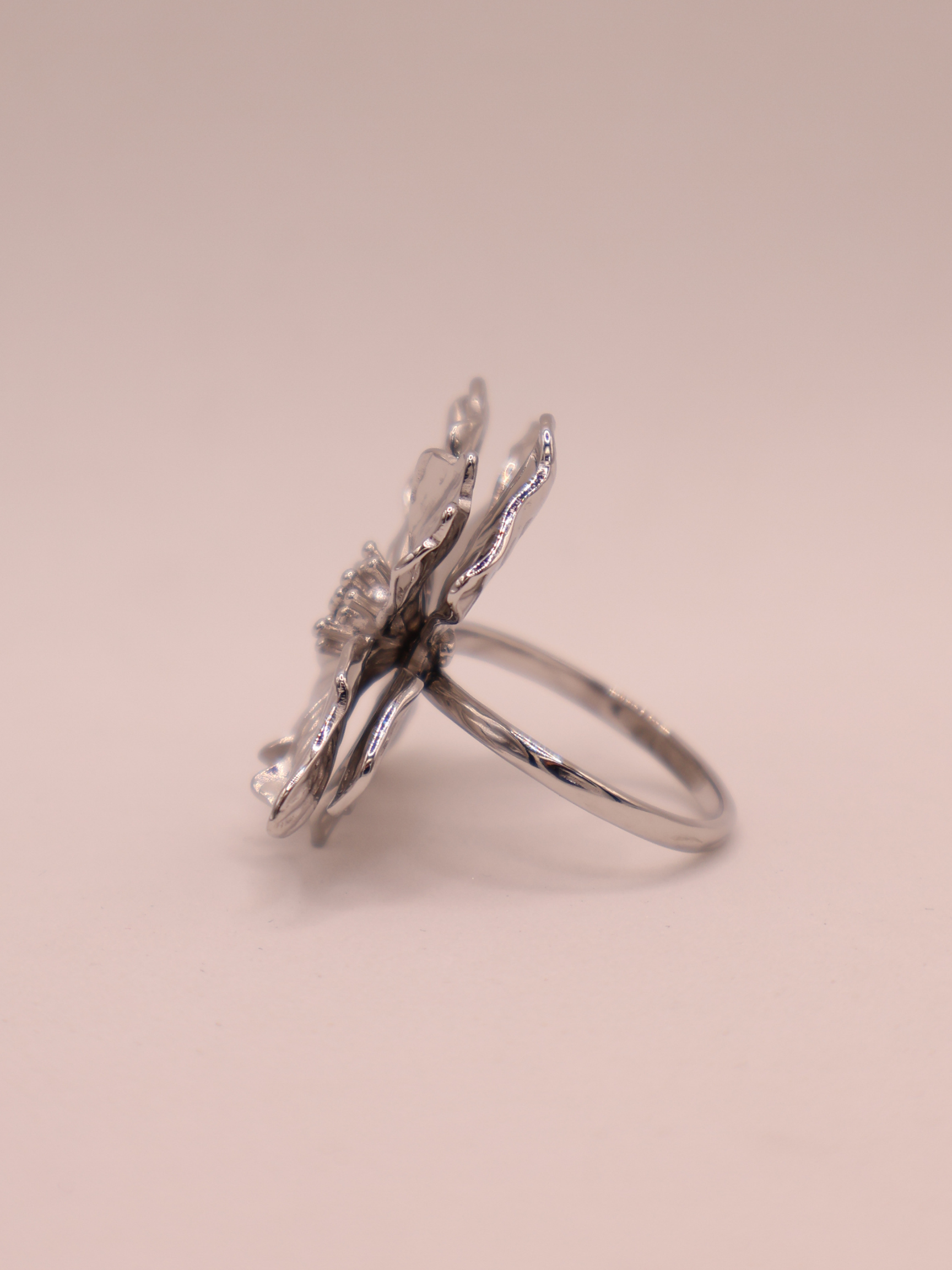 Anillo NANTU
