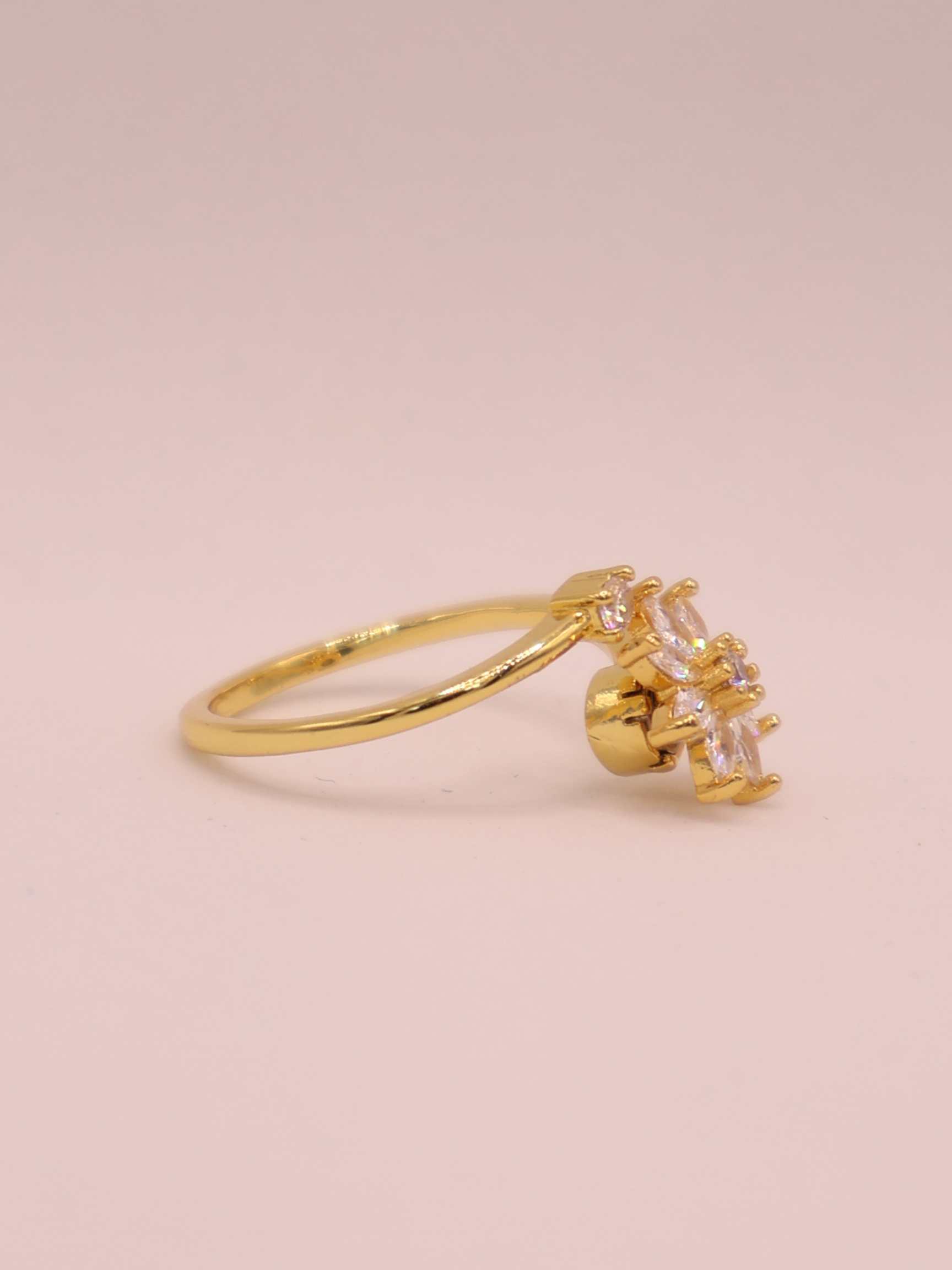 Anillo Isara