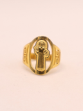ANILLO 23