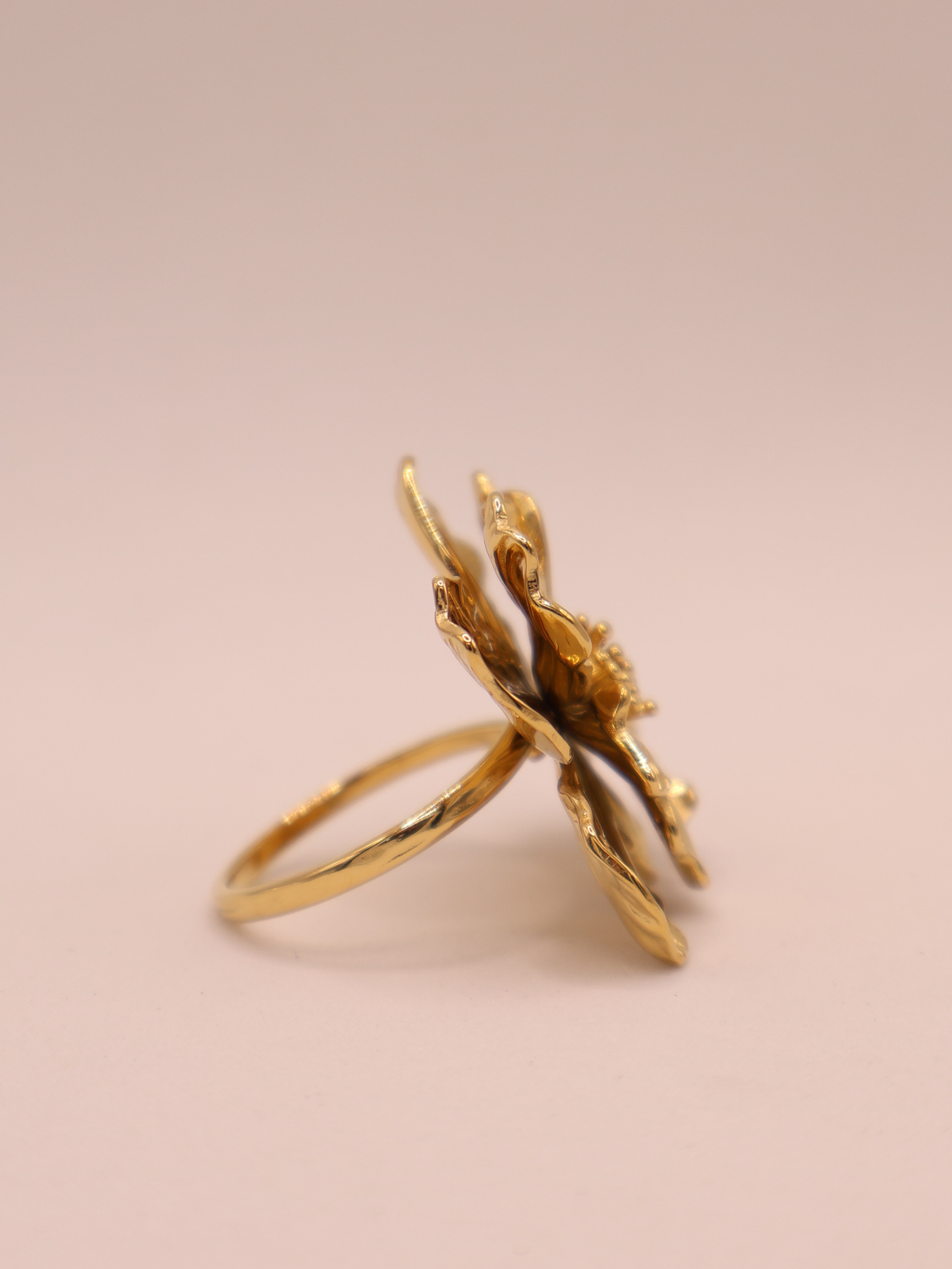 Anillo SAUSALITOA