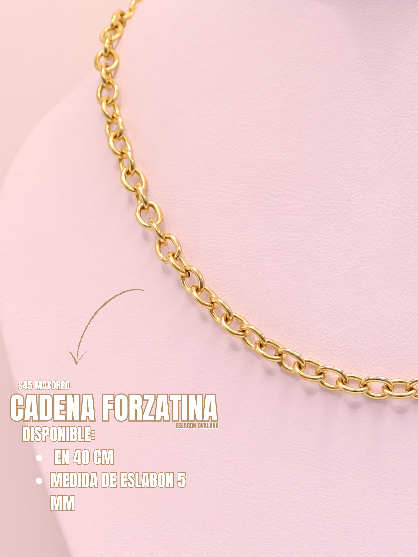 CADENA 101 FORZATINA B