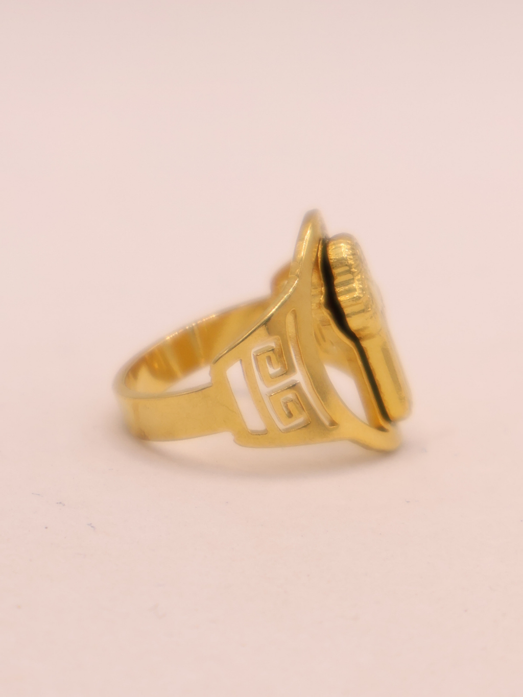 ANILLO 23