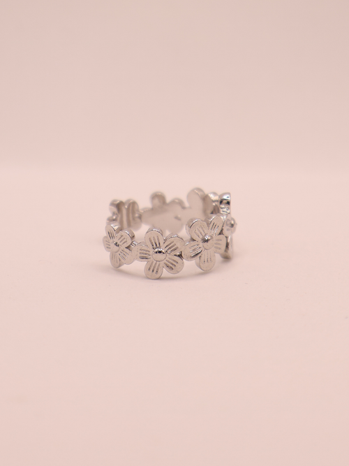 Anillo ALASSIO