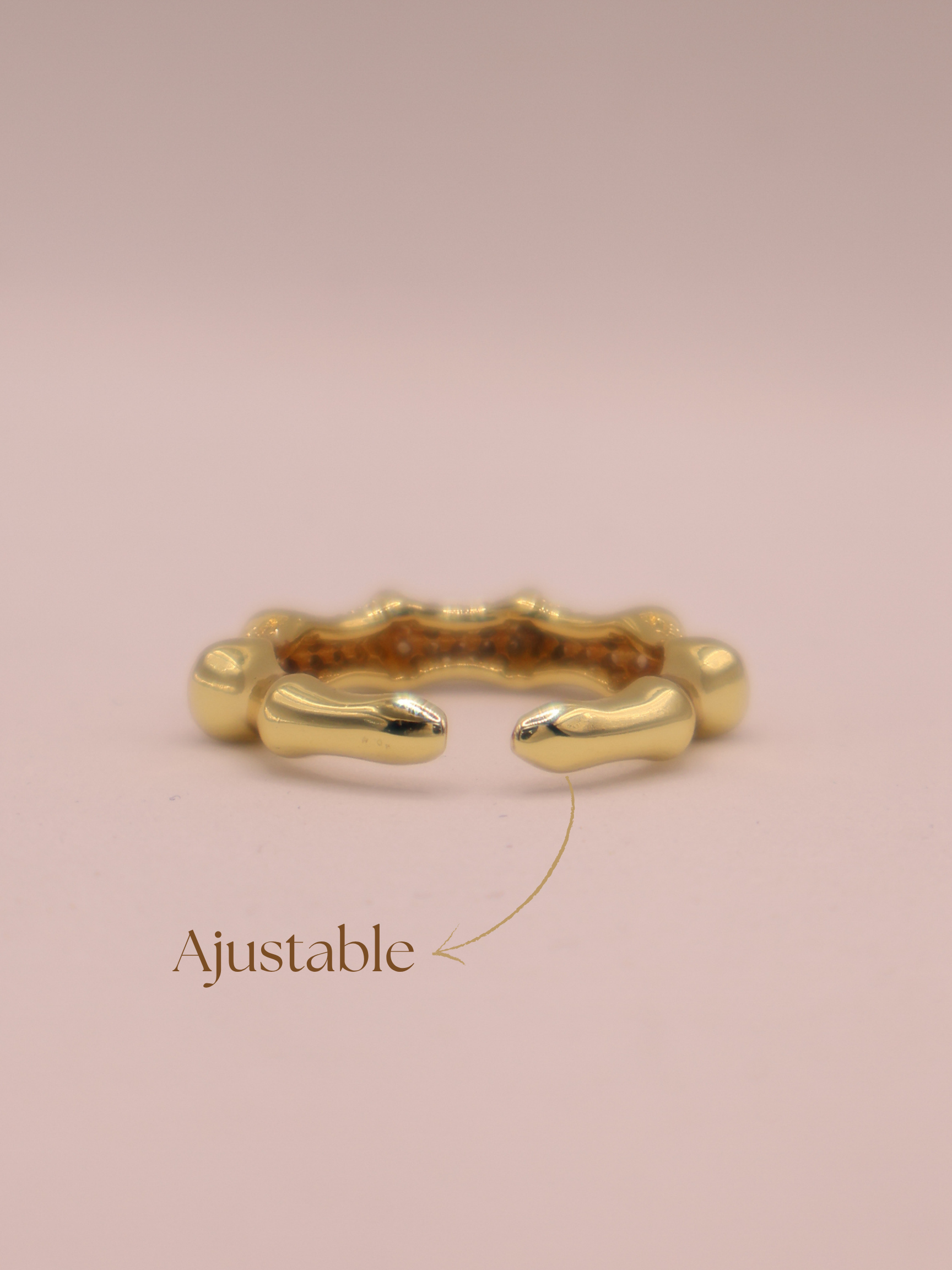 Anillo AIX