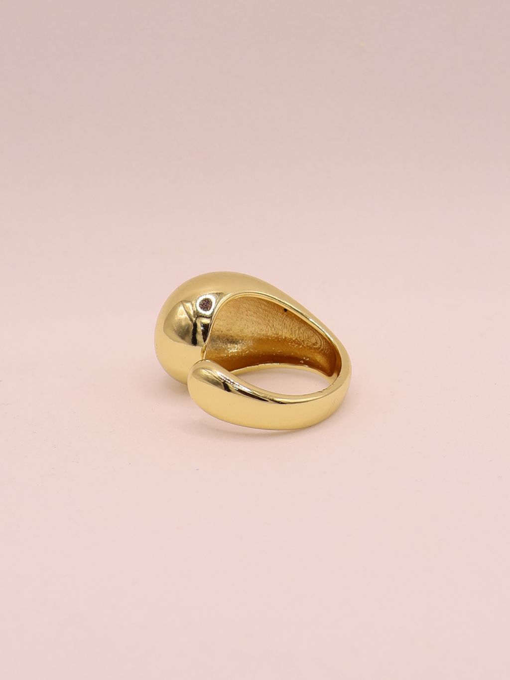 ANILLO ORBI