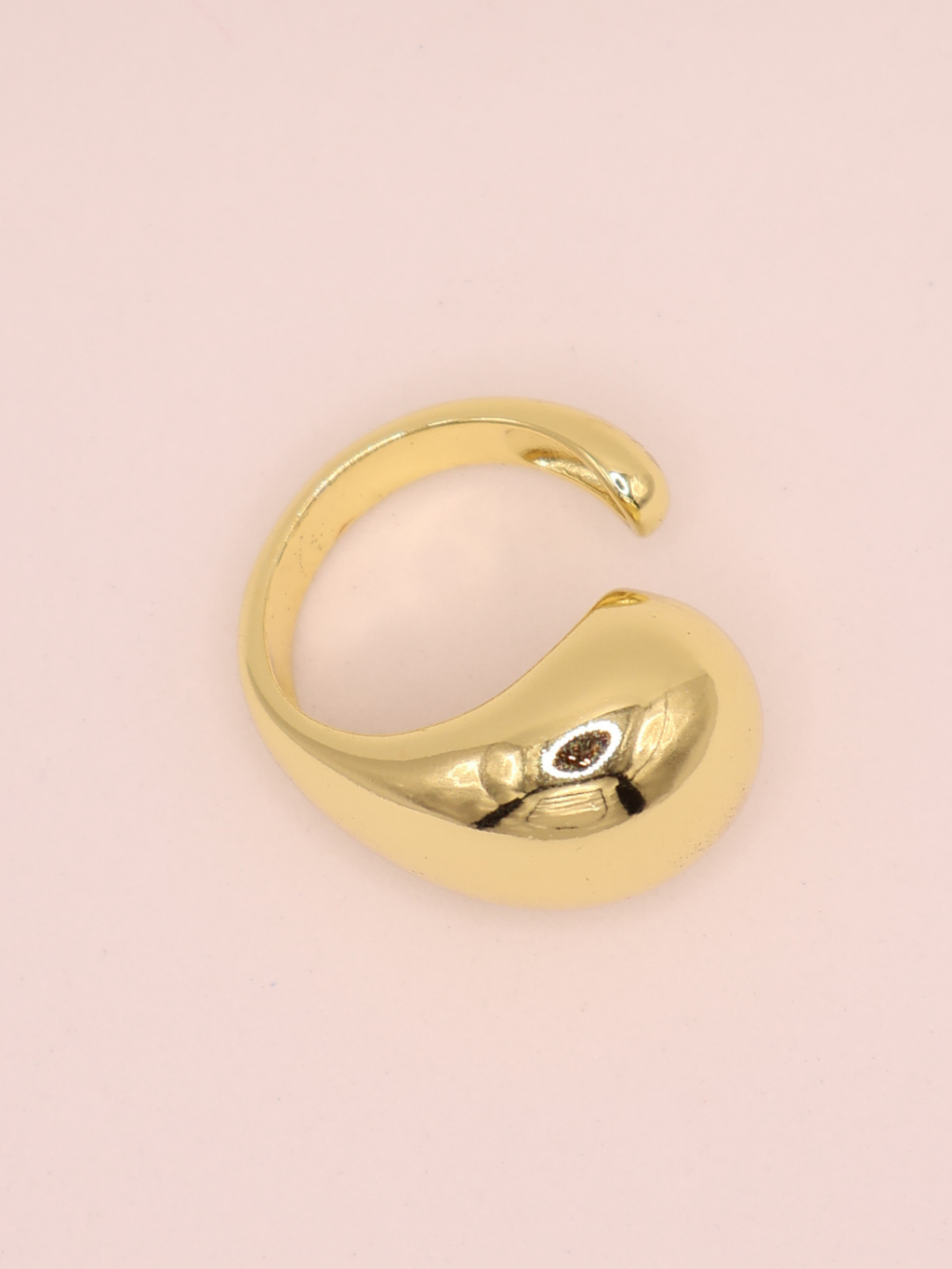 ANILLO ORBI