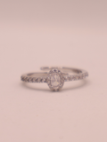 Anillo ARLES