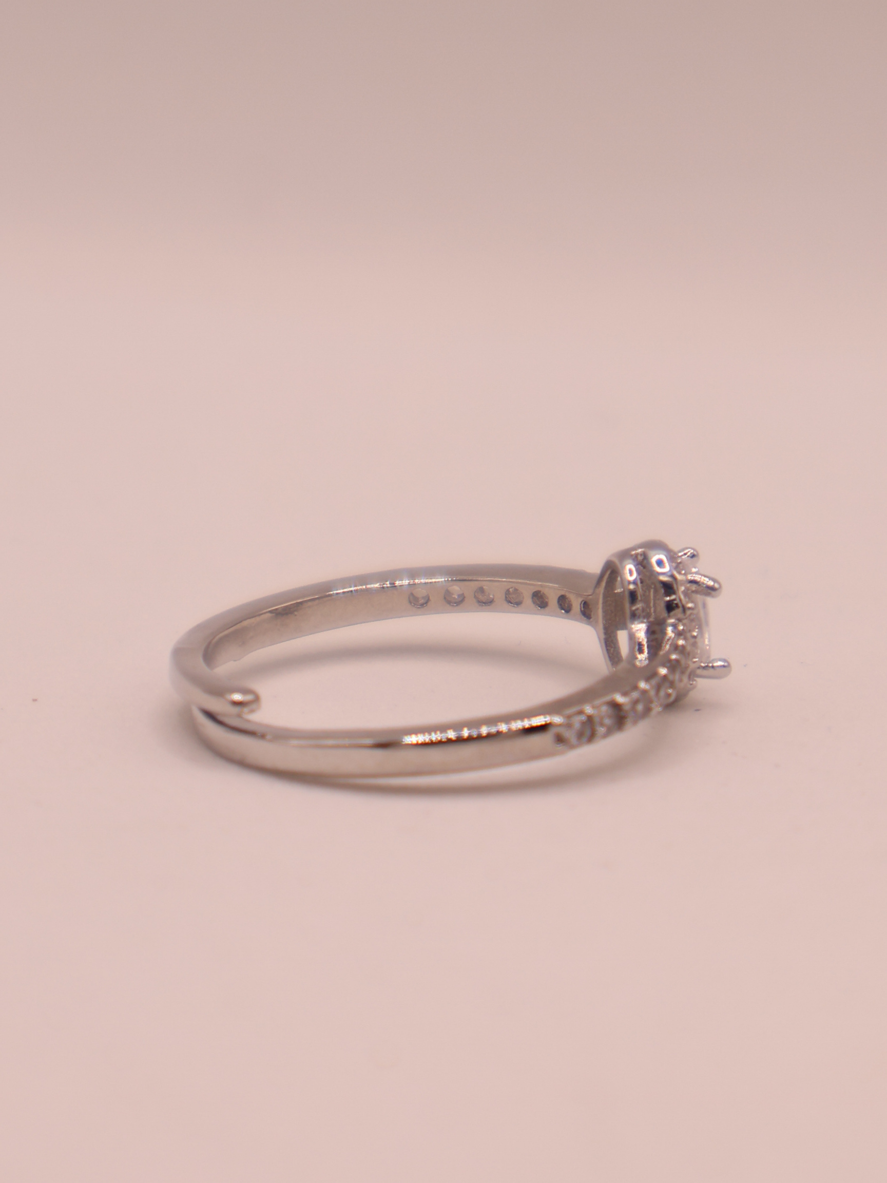 Anillo ARLES
