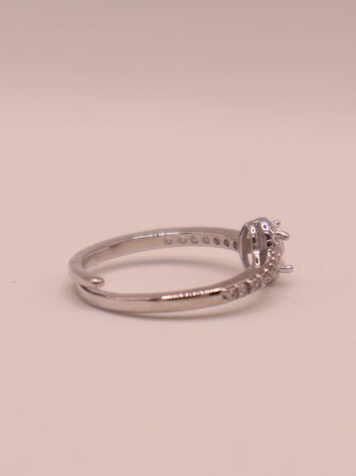 Anillo ARLES