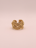 Anillo Zarel