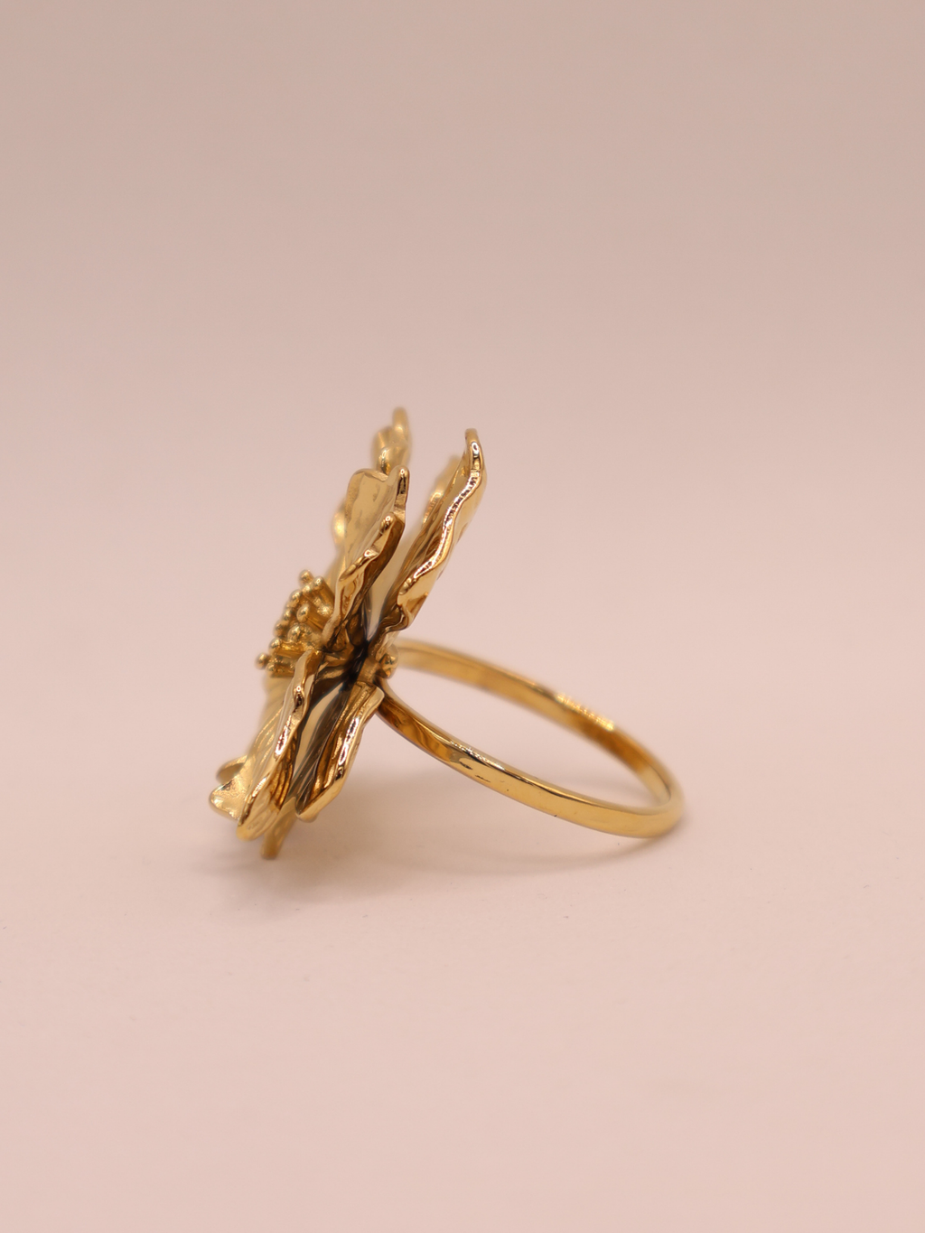 Anillo SAUSALITOA