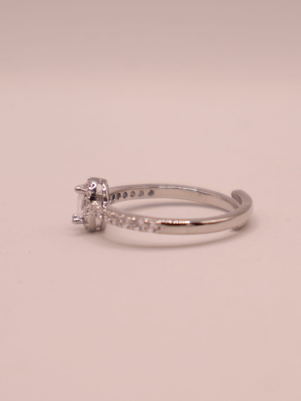 Anillo ARLES