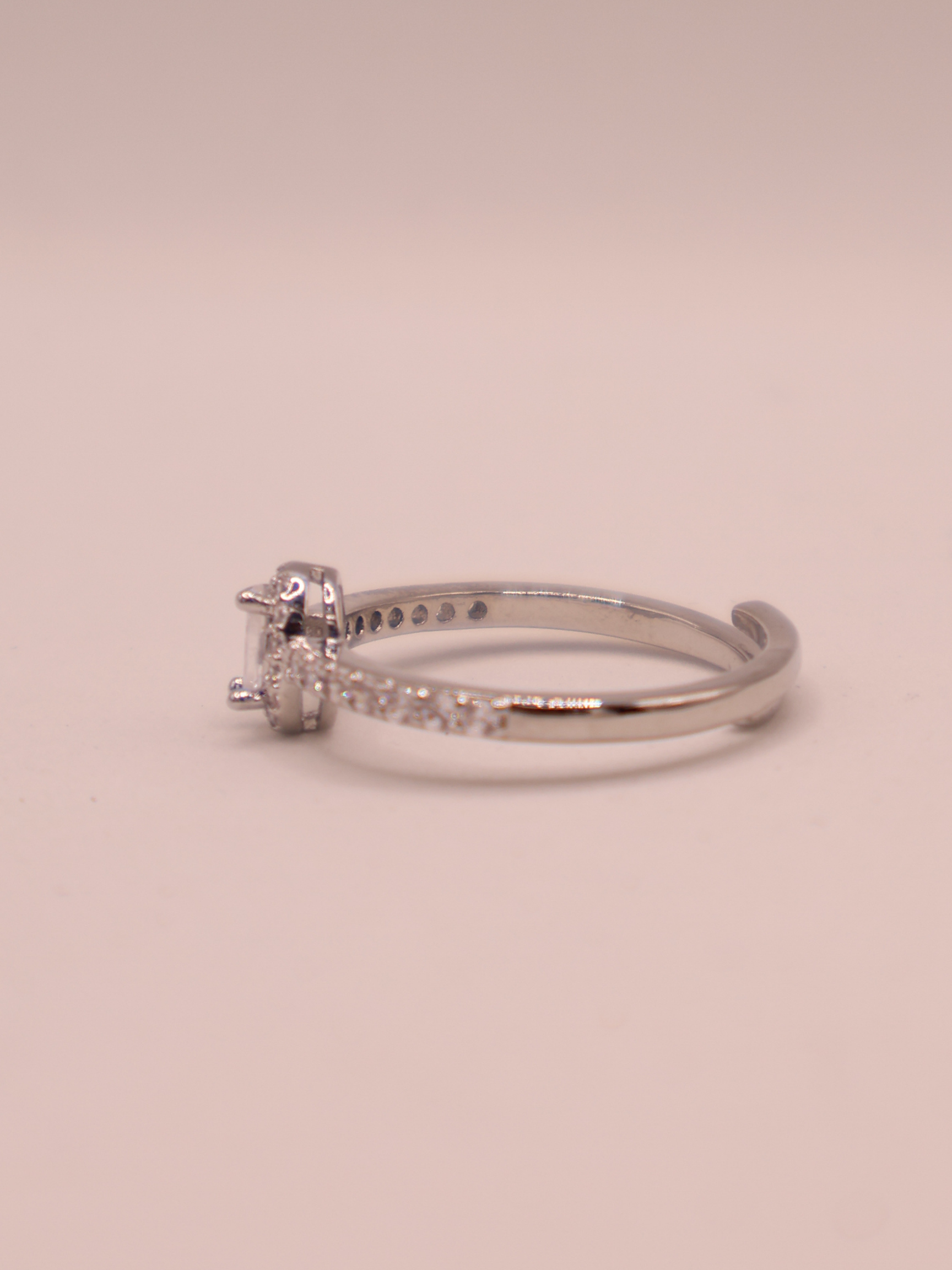 Anillo ARLES