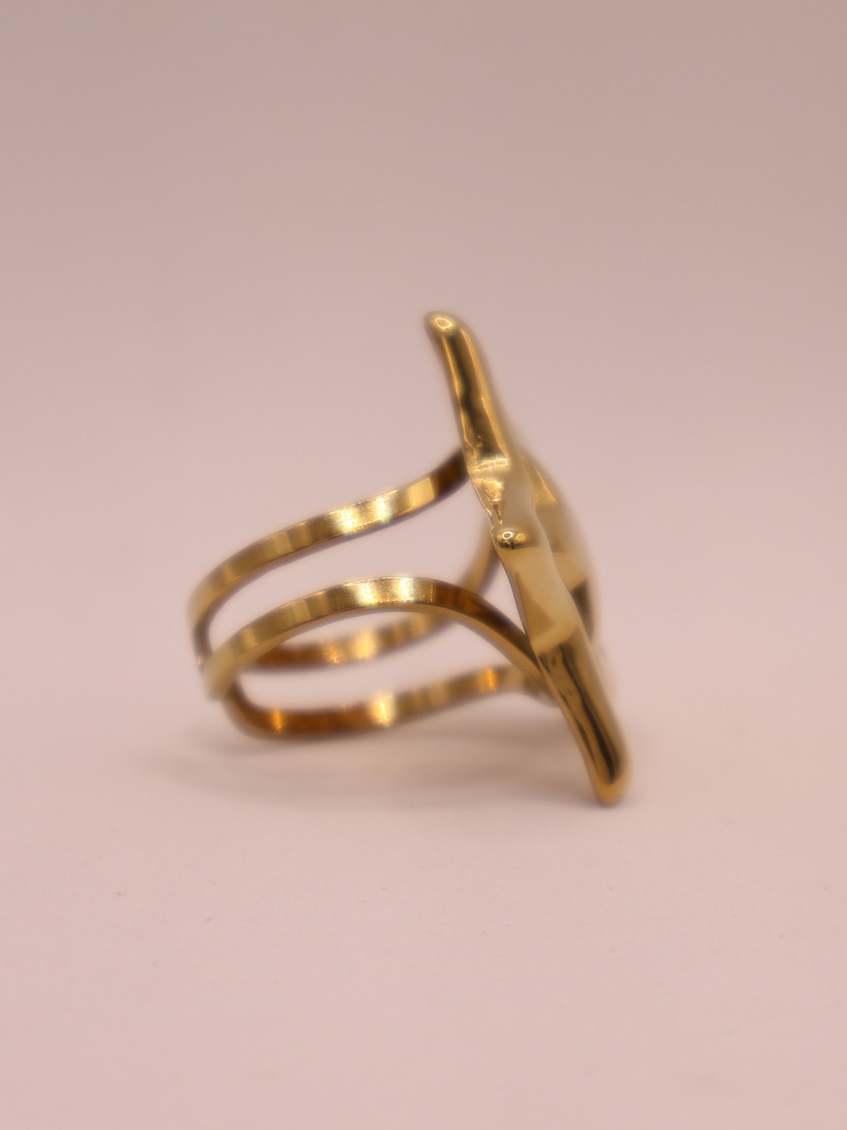 Anillo CARTAGENA