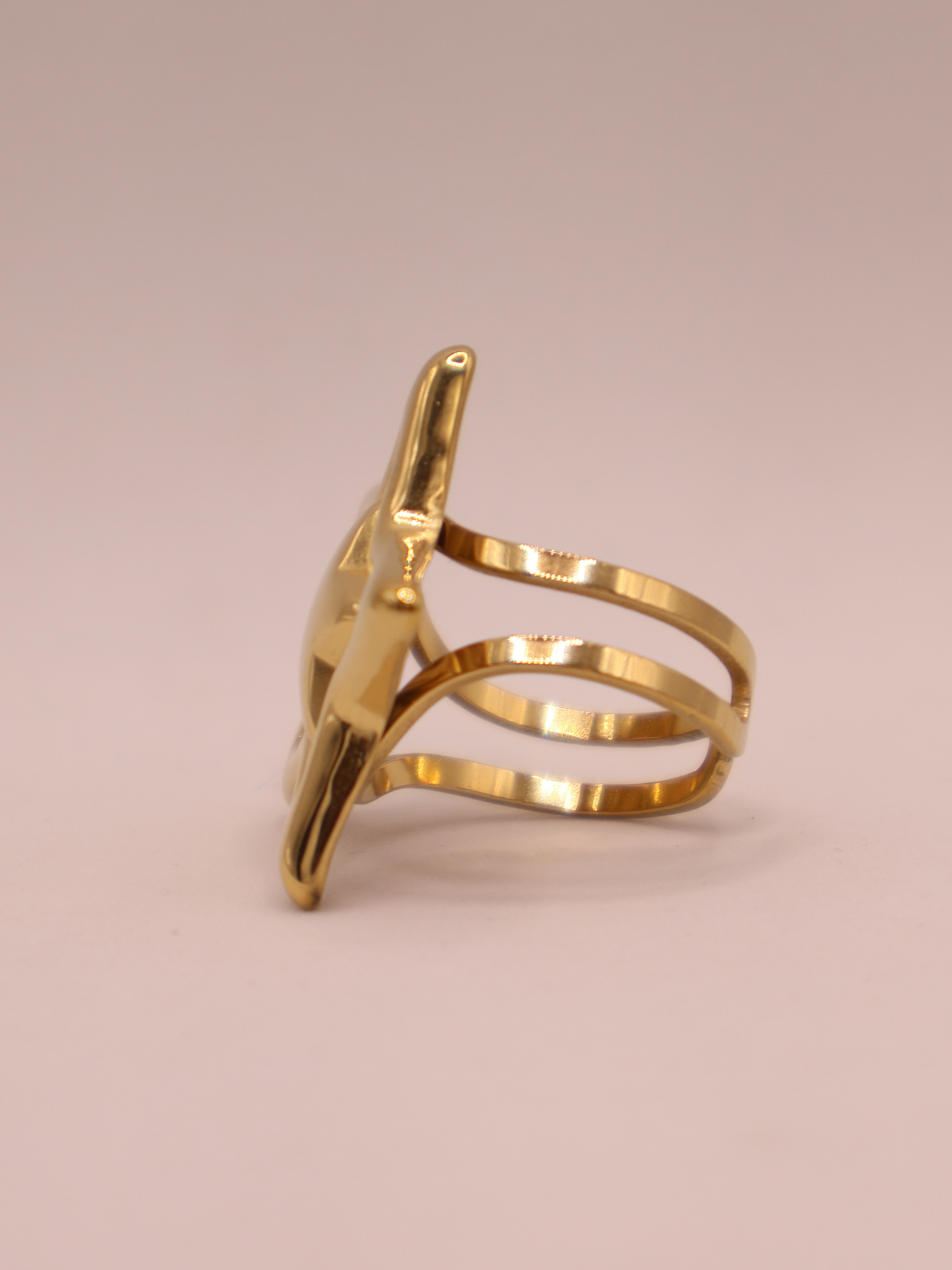 Anillo CARTAGENA