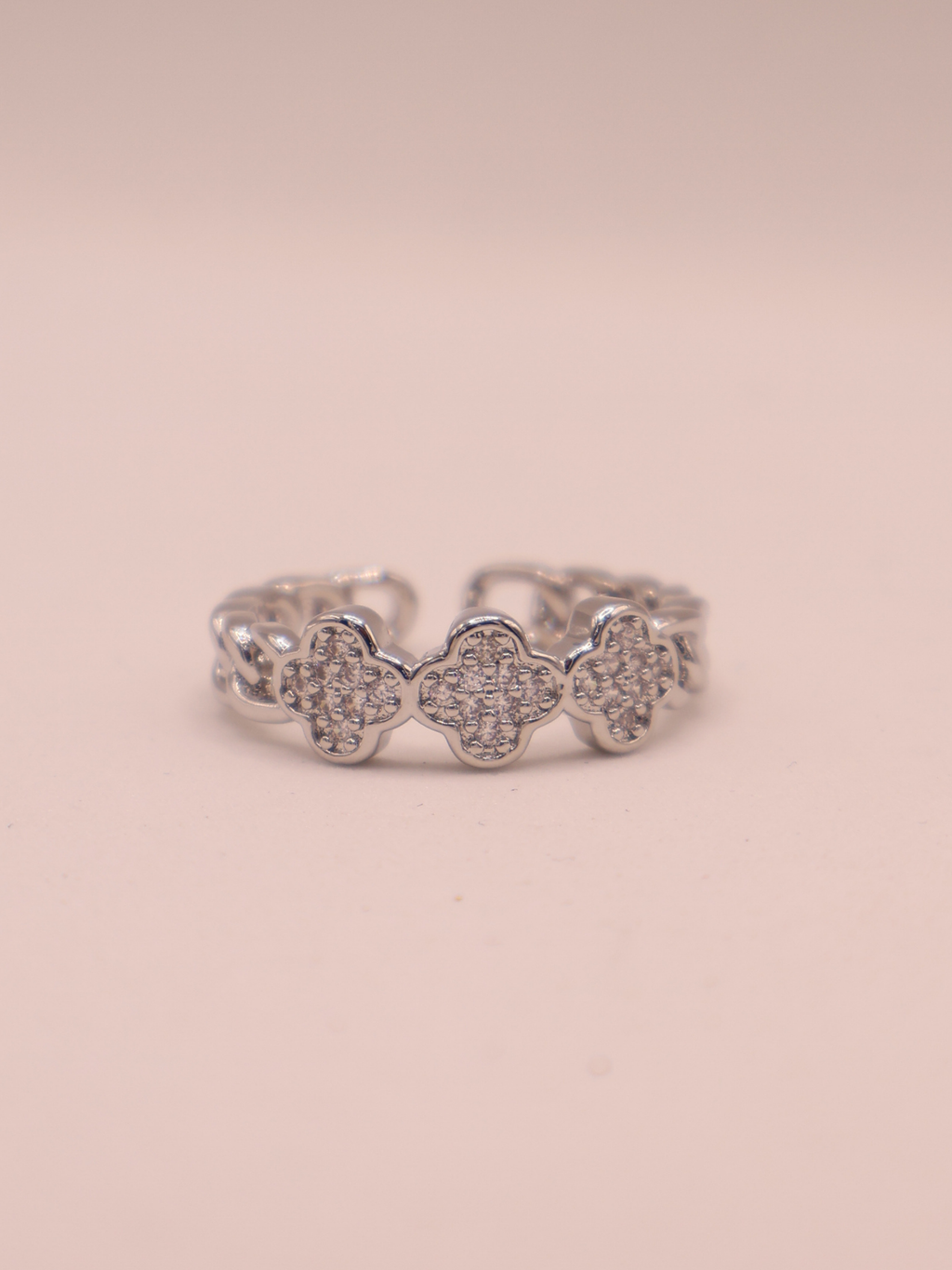 Anillo PAVIA