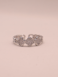 Anillo PAVIA