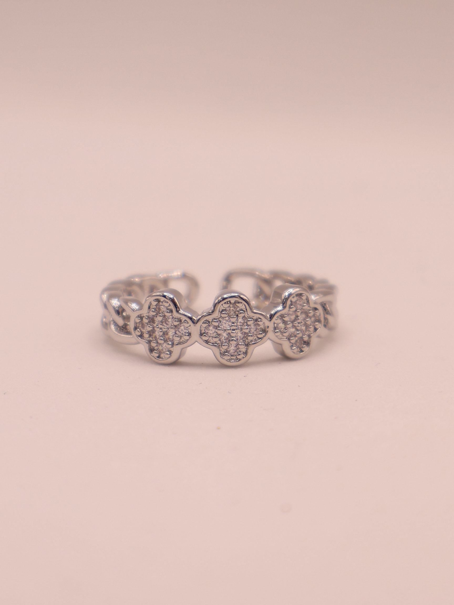 Anillo PAVIA