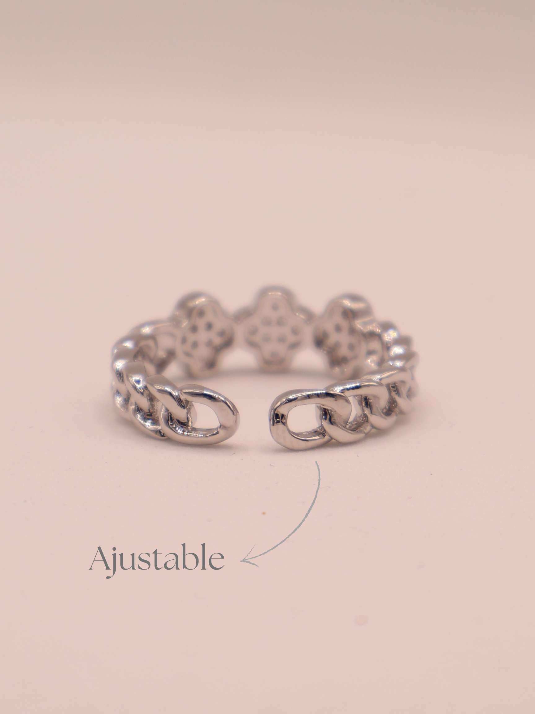 Anillo PAVIA