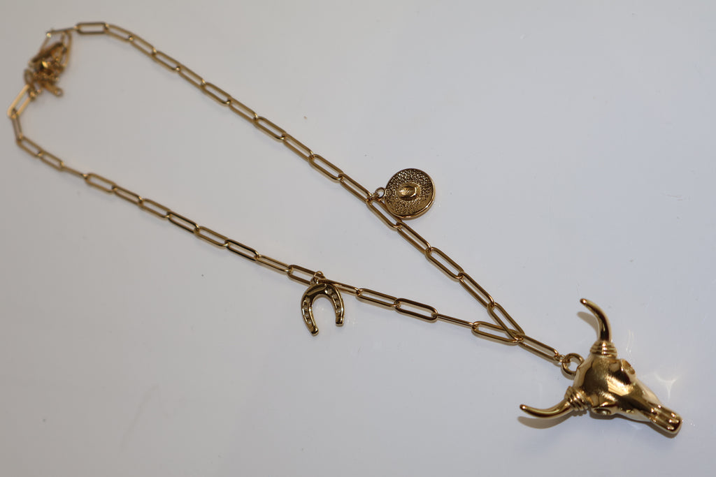 Collar Toro DRD