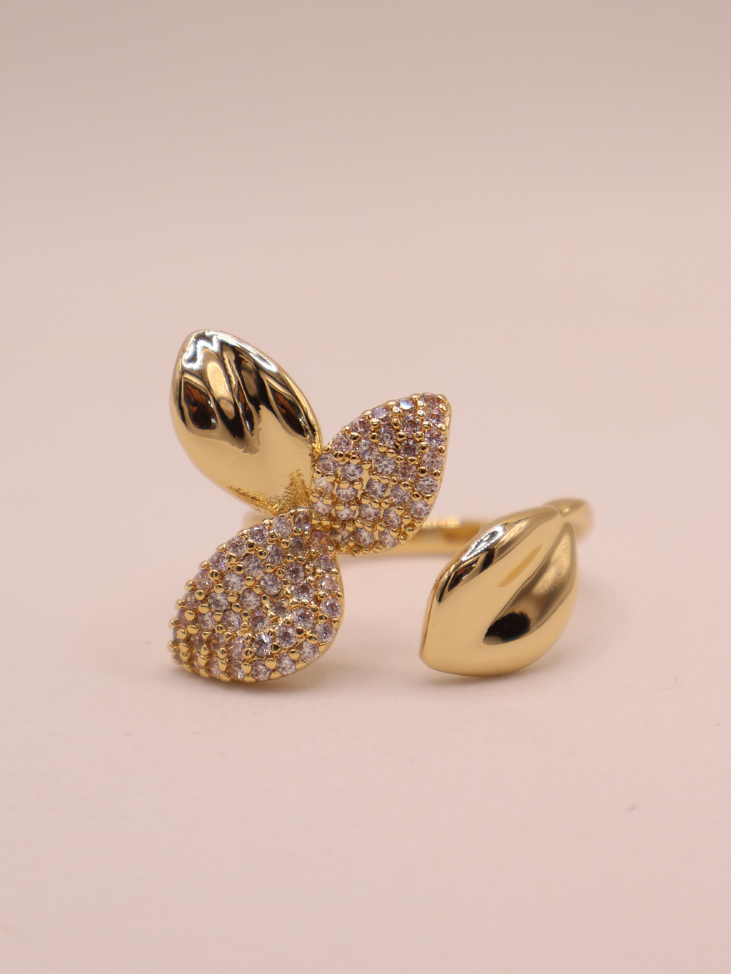 Anillo Liana