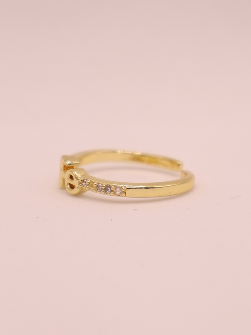 ANILLO FE