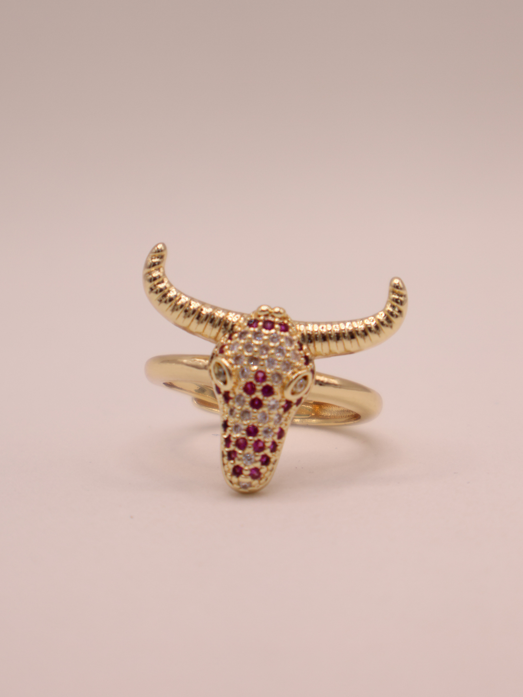 Anillo Liora