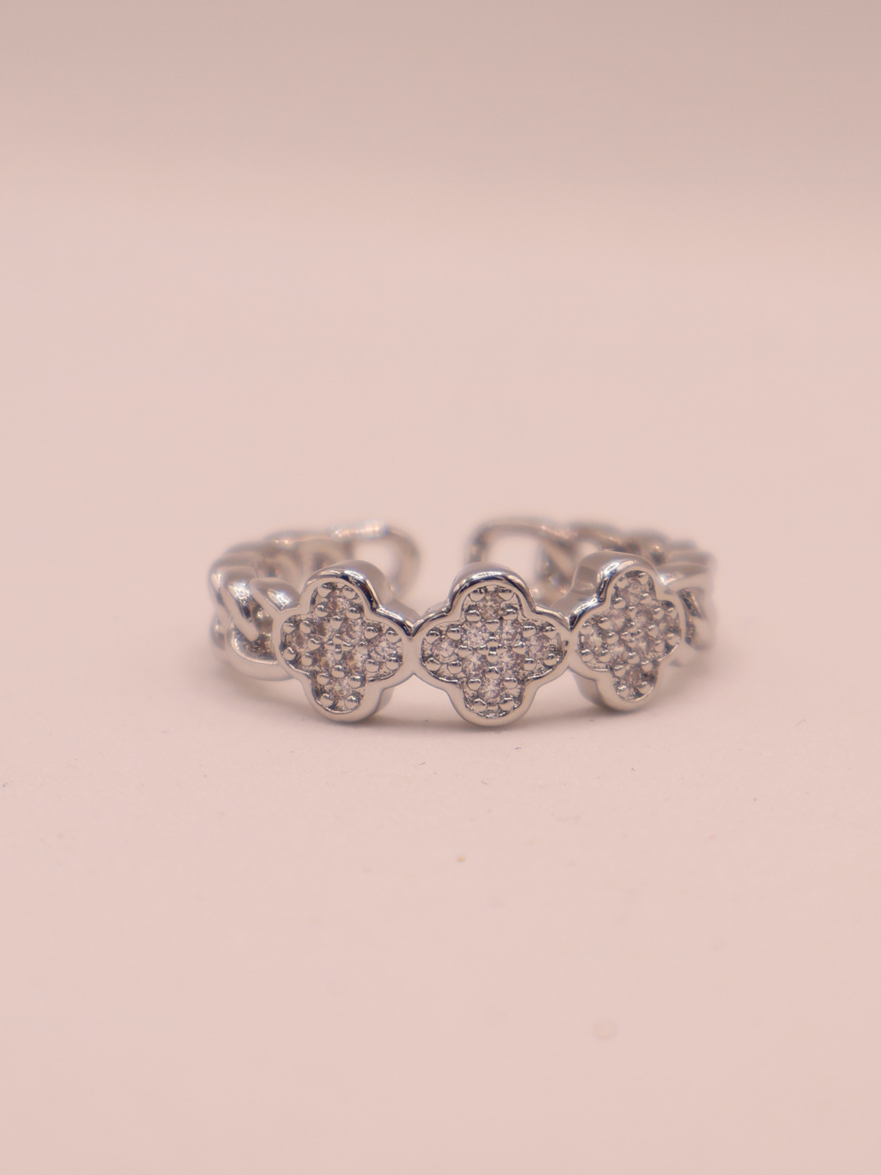 Anillo PAVIA