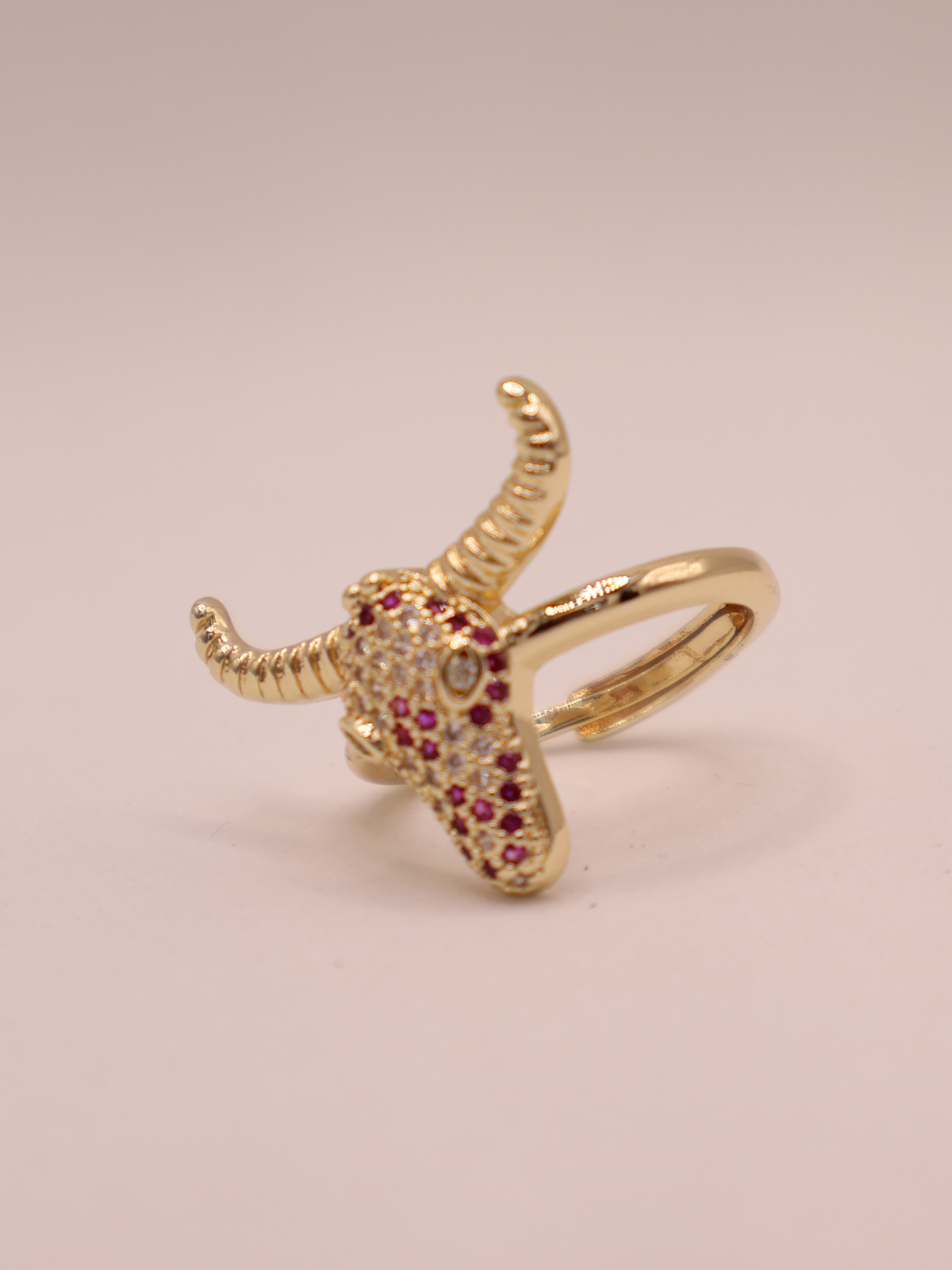 Anillo Liora