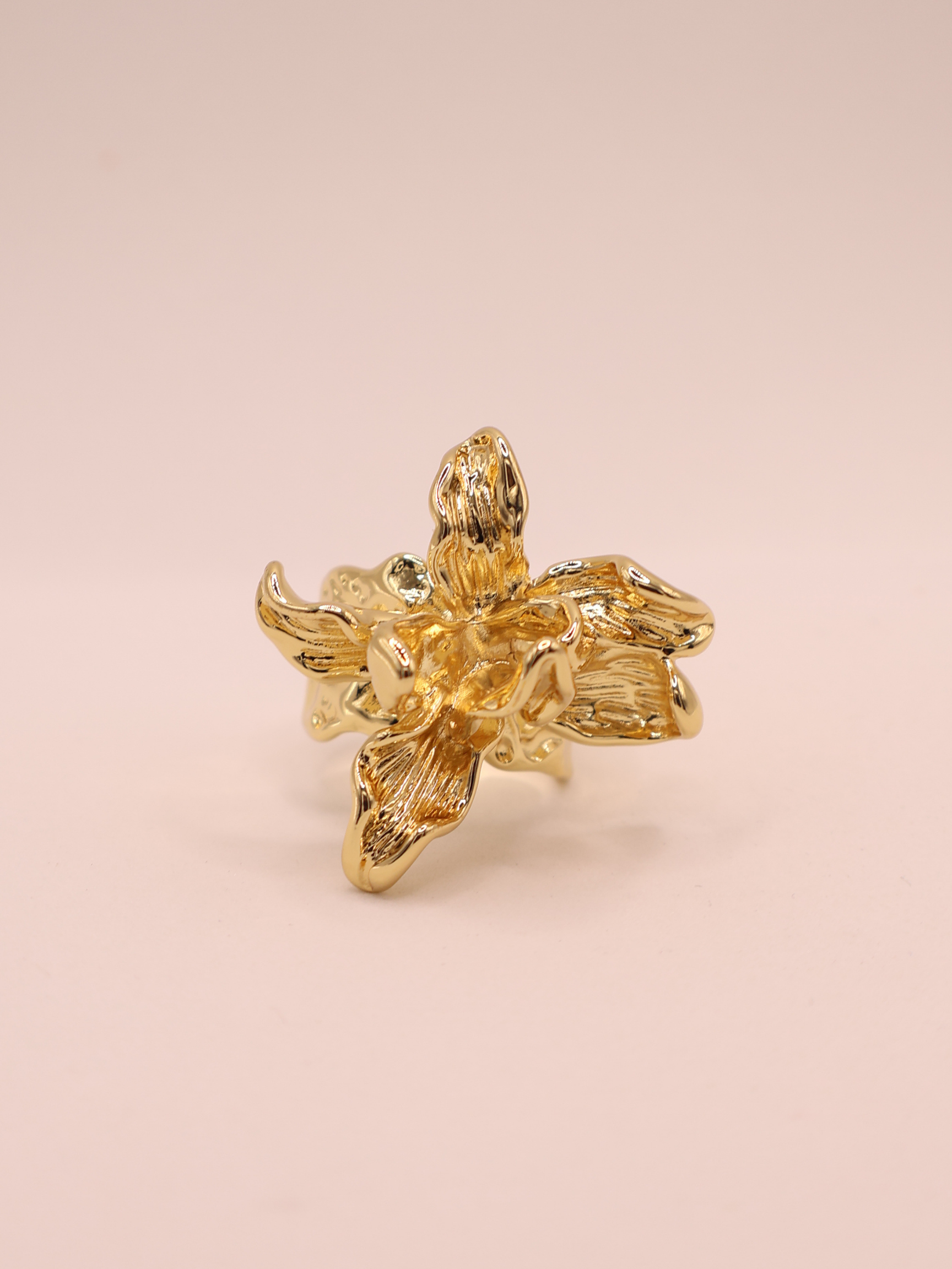 Anillo VARENNA