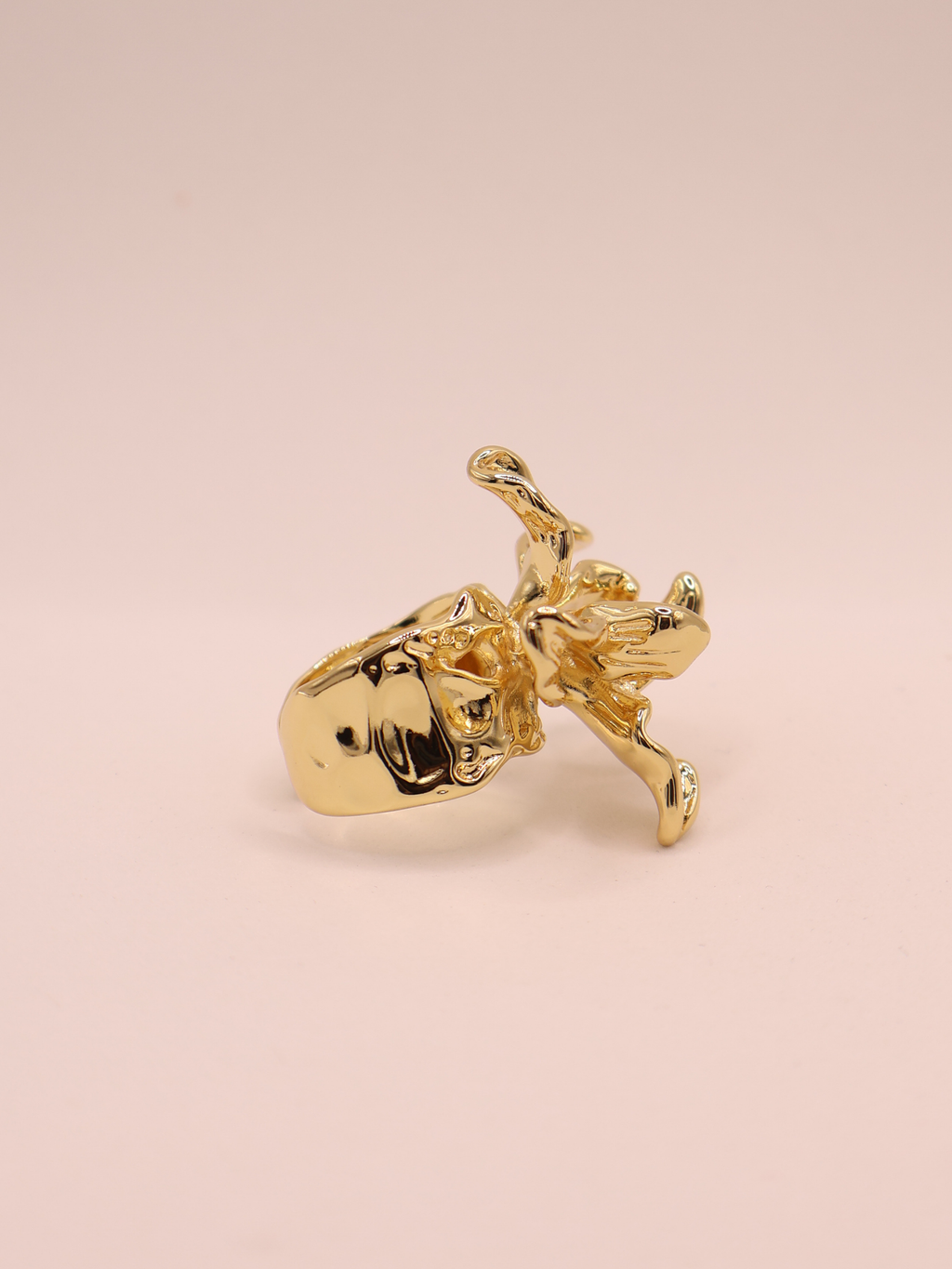 Anillo VARENNA