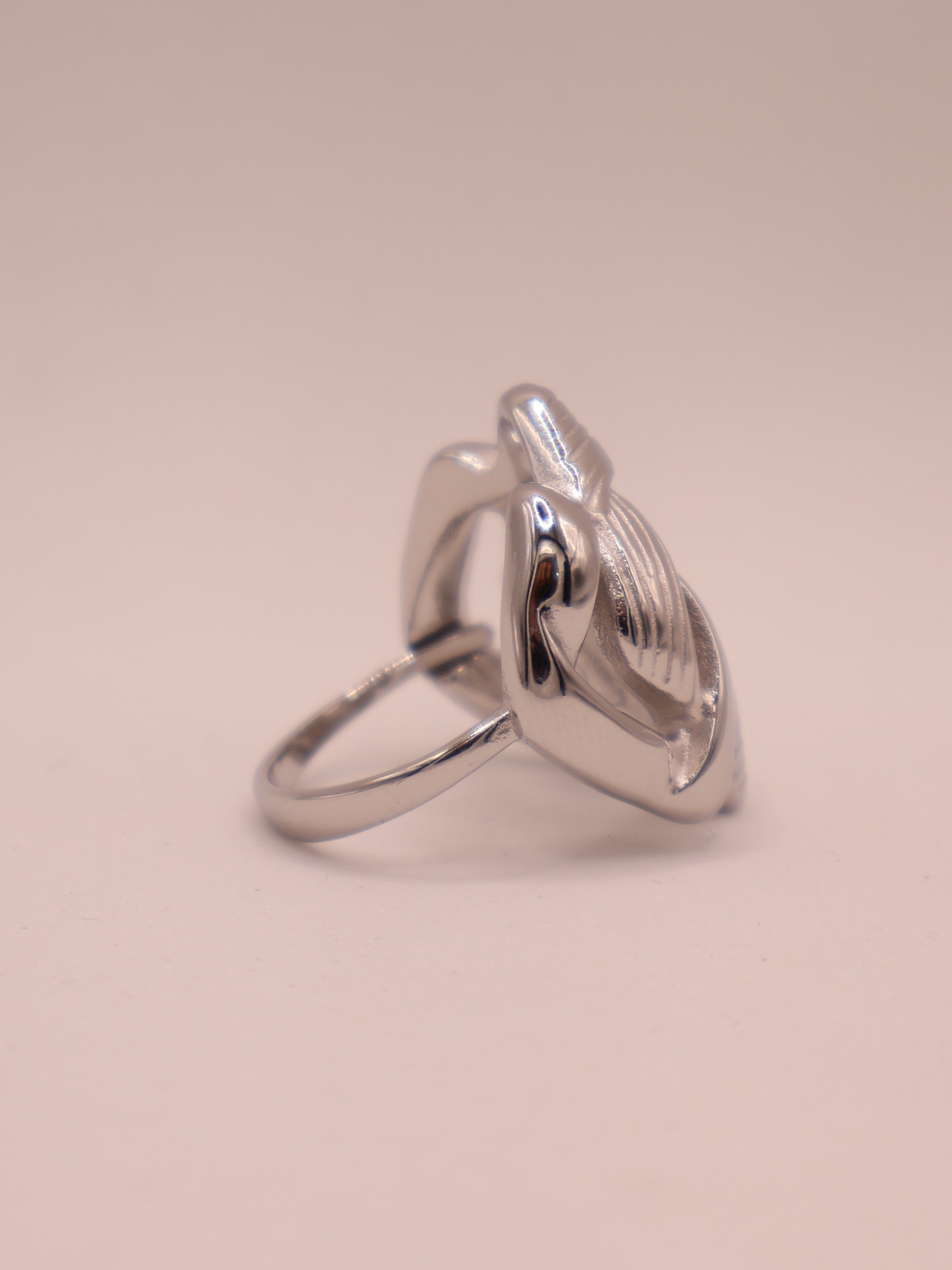 Anillo TÁNGER