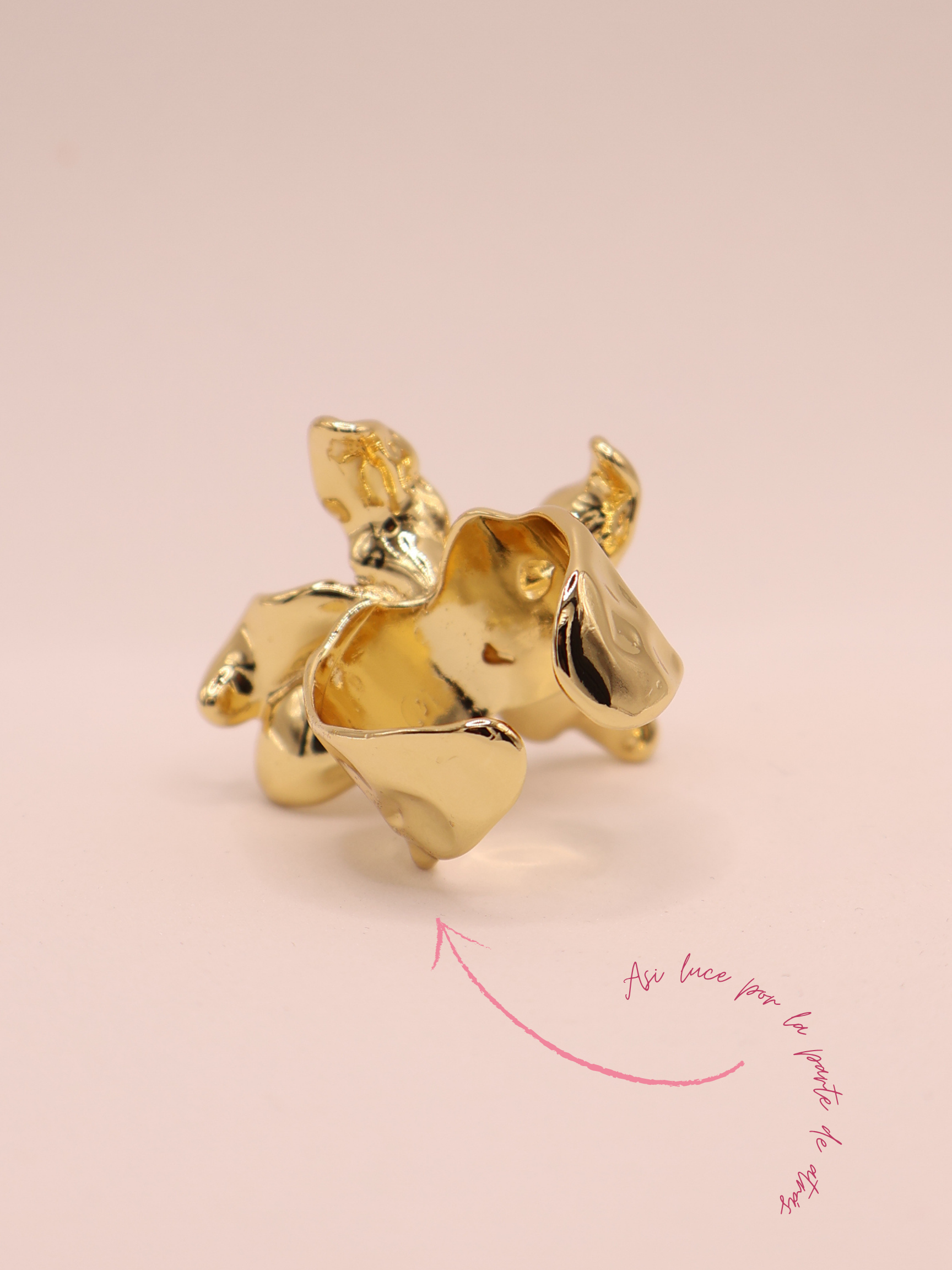 Anillo VARENNA
