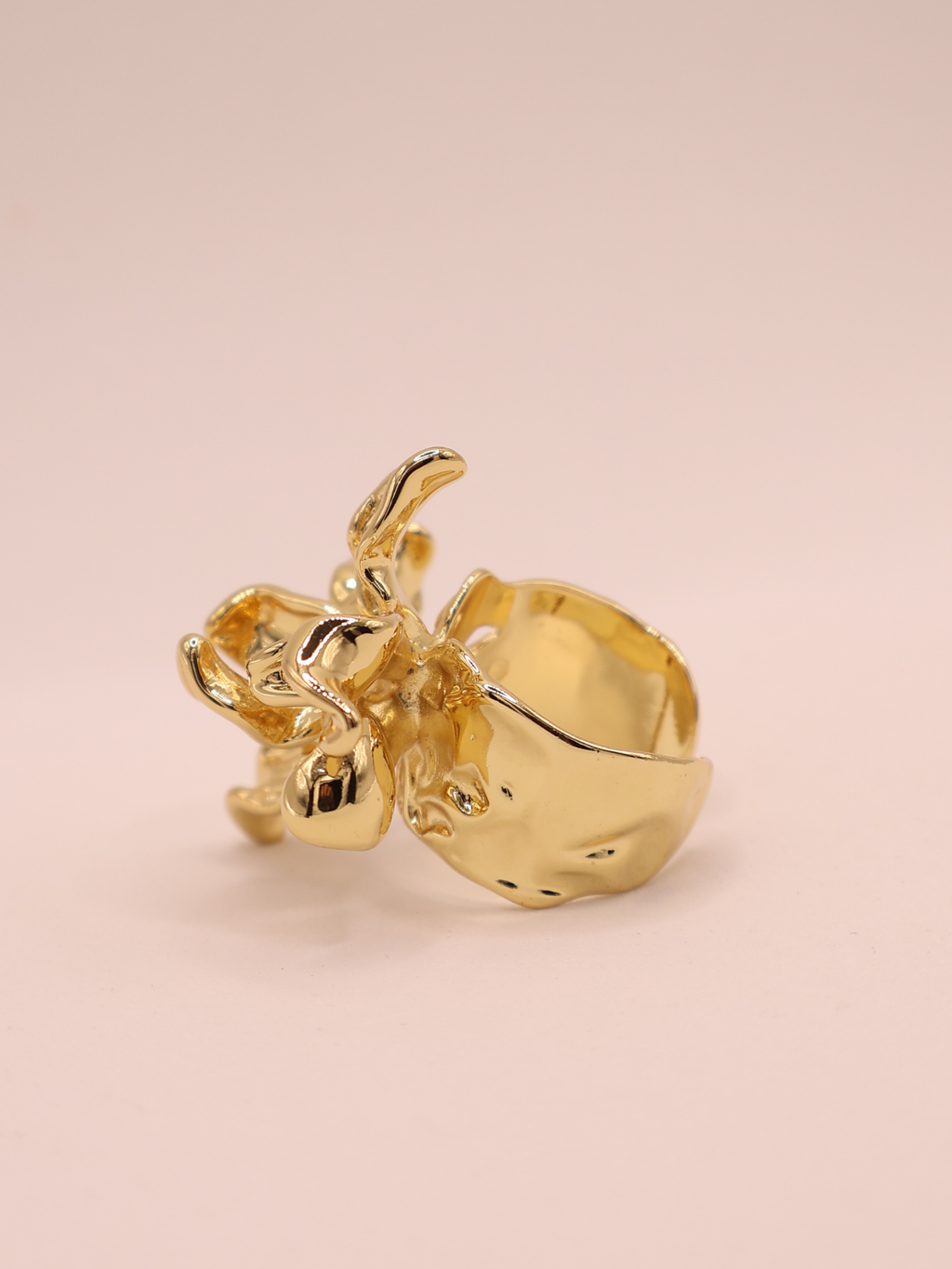 Anillo VARENNA
