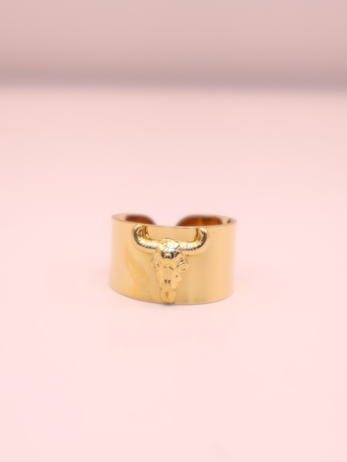 ANILLO VAQUERO AJUSTABLE 71
