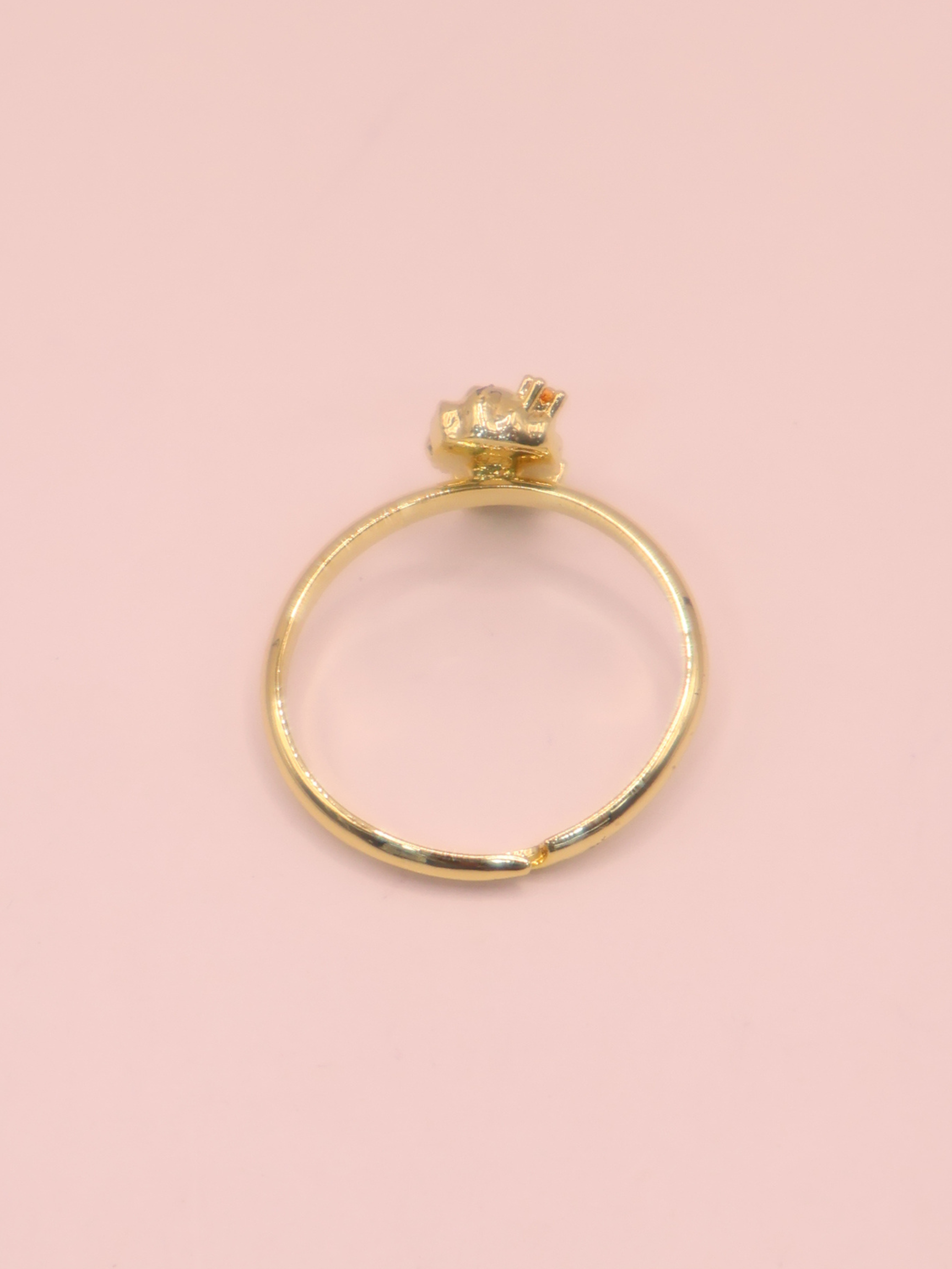 ANILLO PRINCESA VALIENTE
